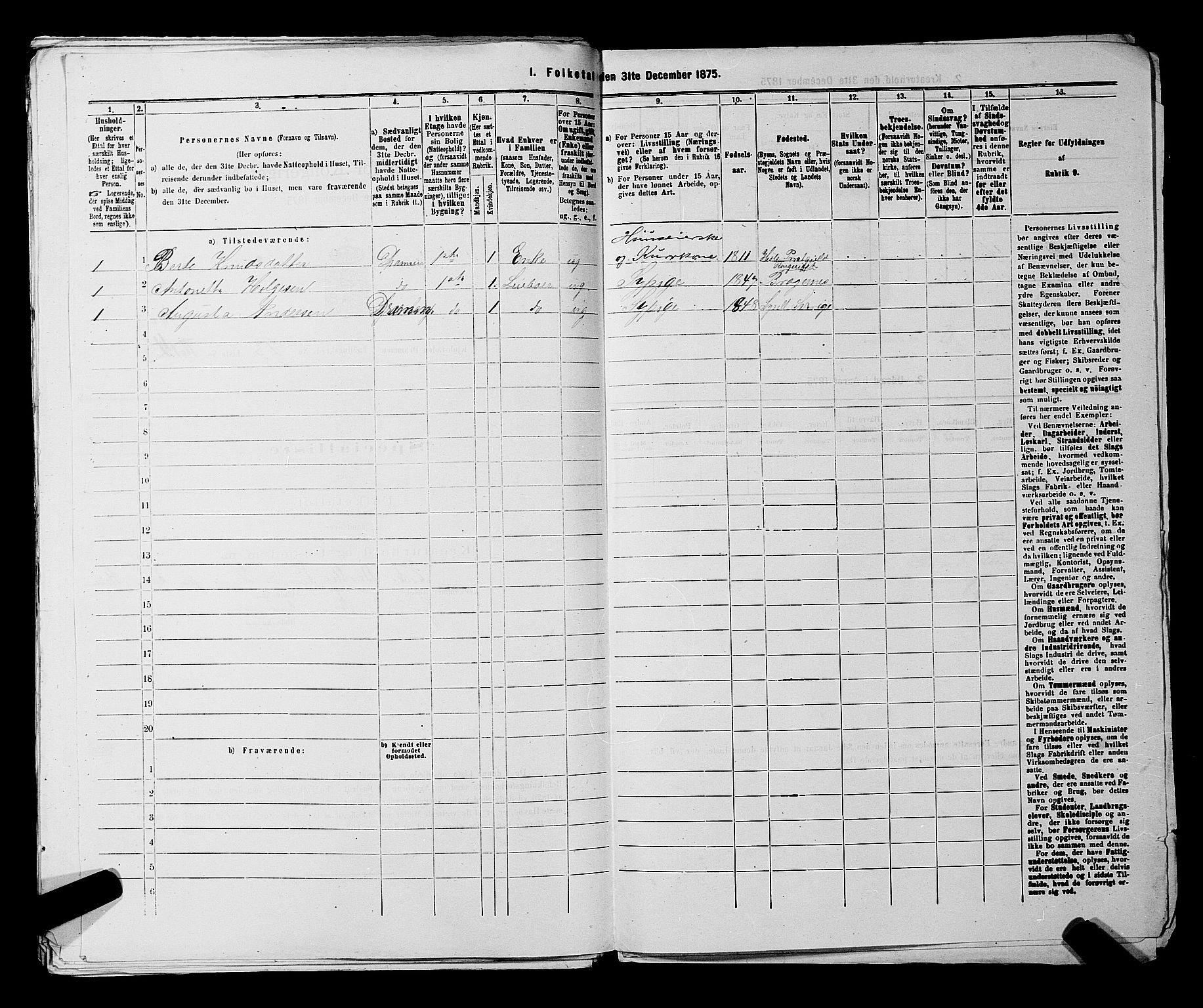 SAKO, 1875 census for 0602 Drammen, 1875, p. 2365