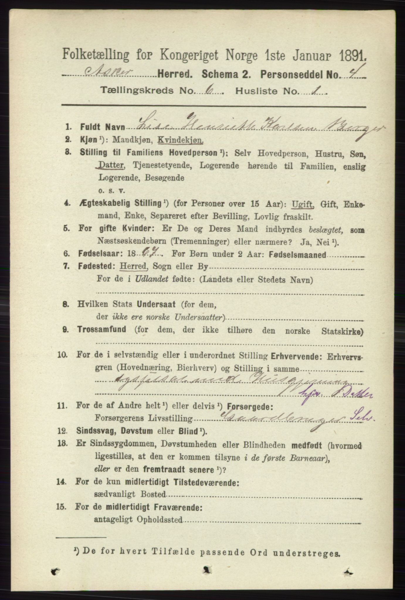 RA, 1891 census for 0220 Asker, 1891, p. 4163