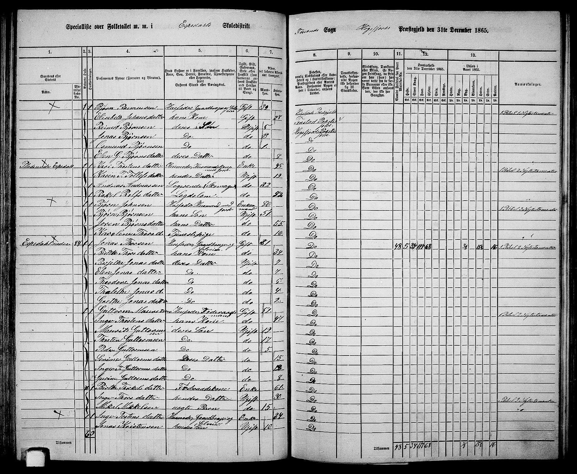 RA, 1865 census for Høgsfjord, 1865, p. 63