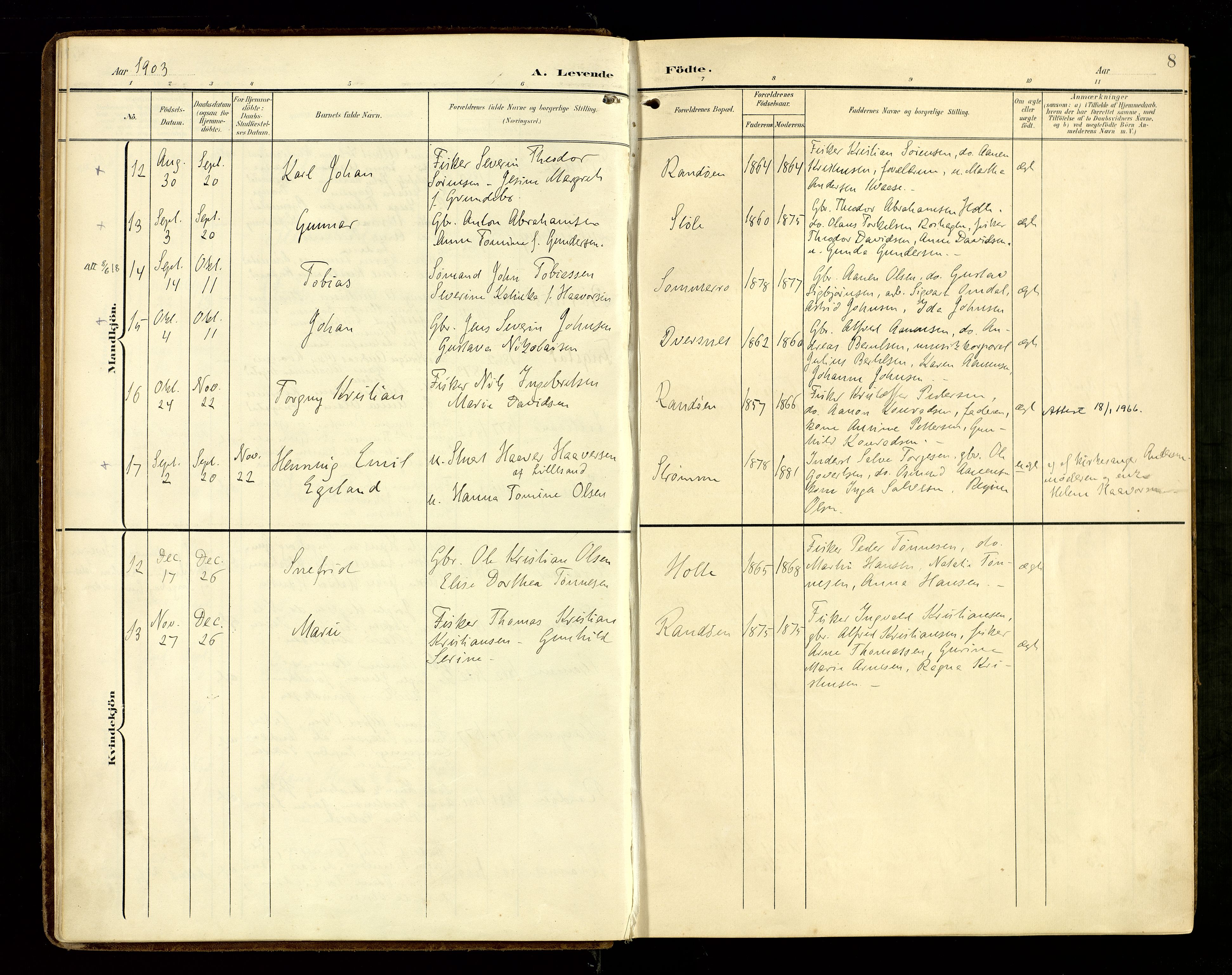 Oddernes sokneprestkontor, AV/SAK-1111-0033/F/Fa/Fab/L0003: Parish register (official) no. A 3, 1903-1916, p. 8