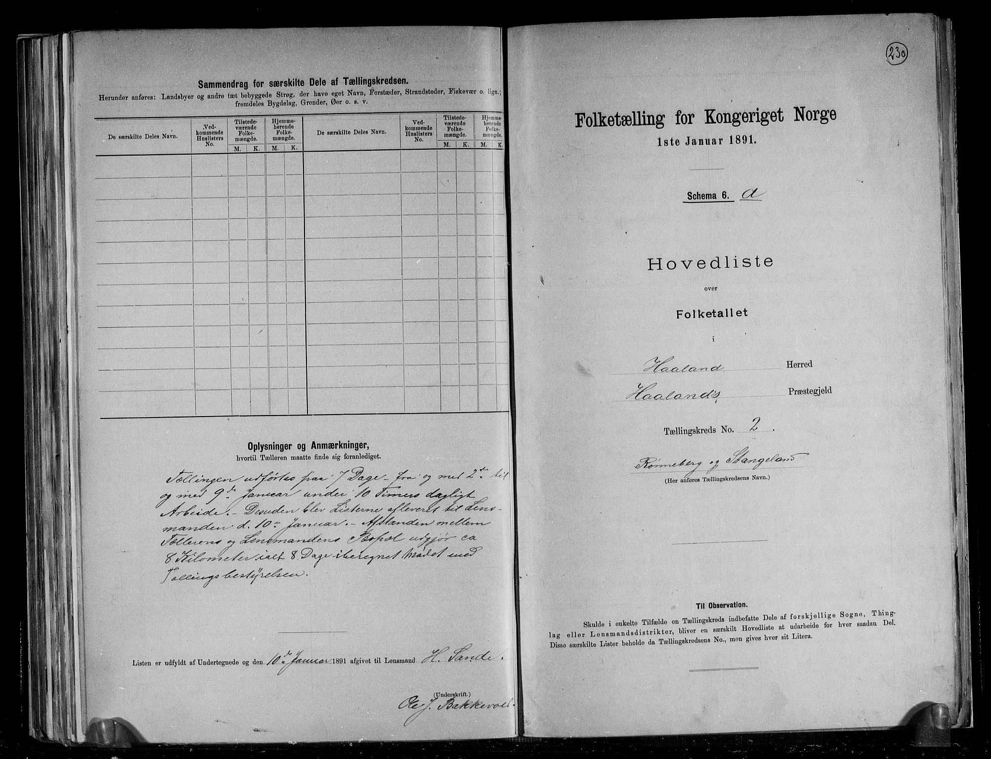 RA, 1891 census for 1124 Haaland, 1891, p. 8