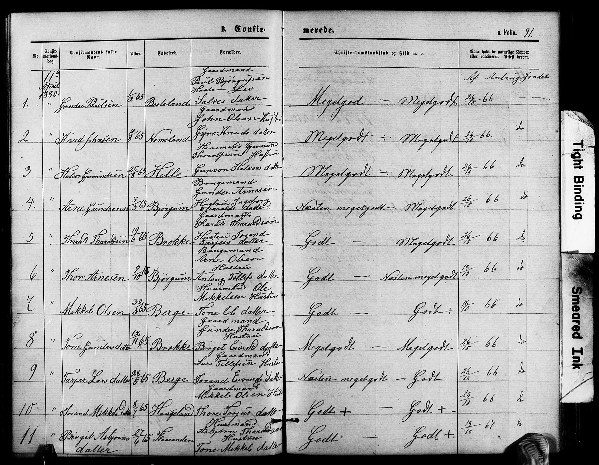 Valle sokneprestkontor, SAK/1111-0044/F/Fb/Fbb/L0002: Parish register (copy) no. B 2, 1875-1921, p. 91