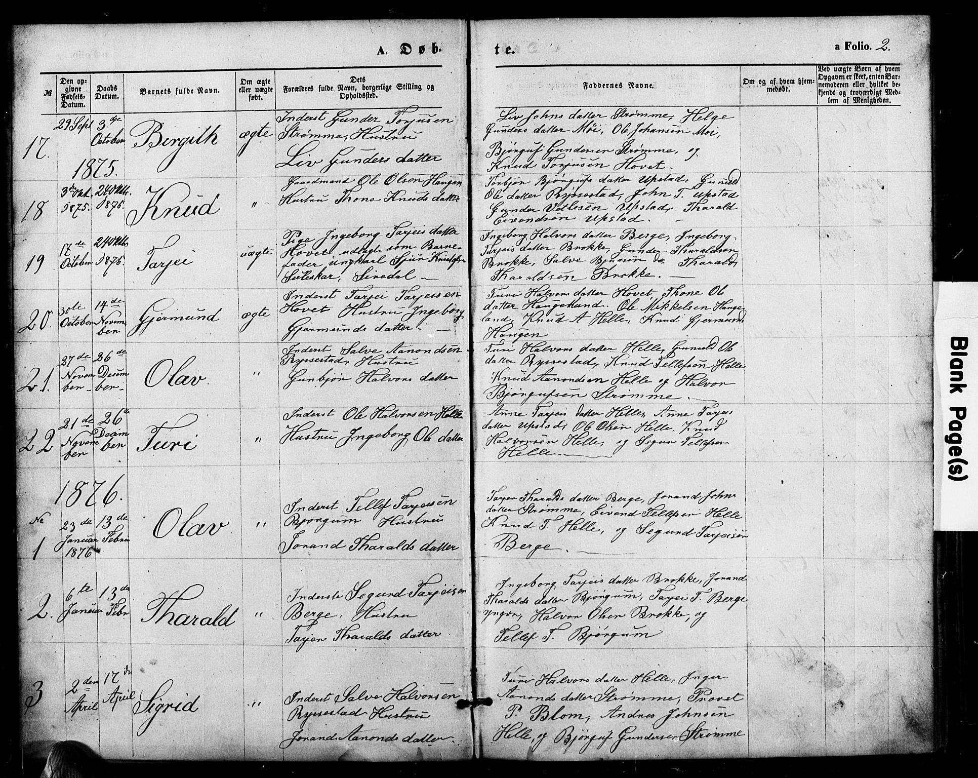 Valle sokneprestkontor, SAK/1111-0044/F/Fb/Fbb/L0002: Parish register (copy) no. B 2, 1875-1921, p. 2