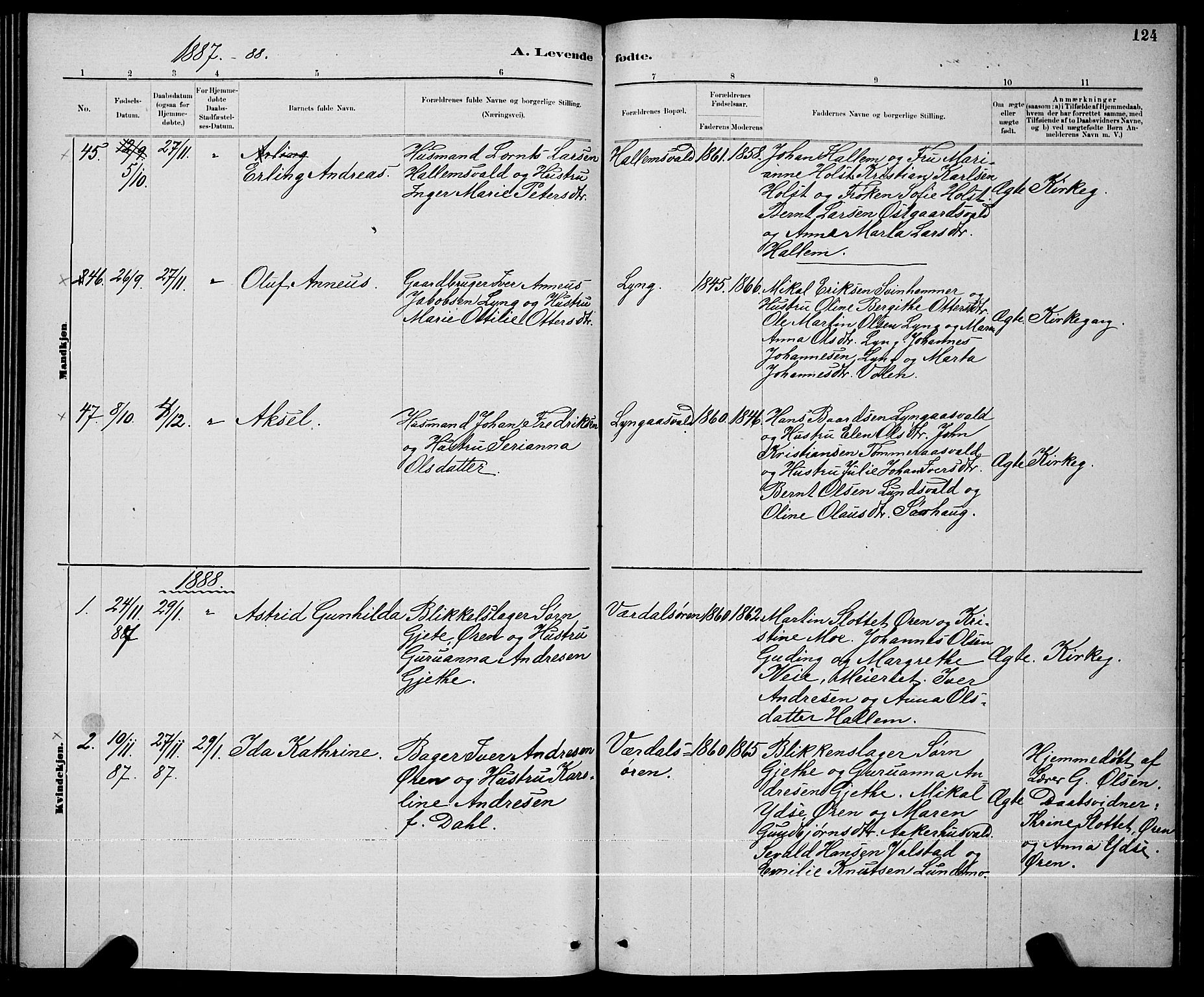 Ministerialprotokoller, klokkerbøker og fødselsregistre - Nord-Trøndelag, SAT/A-1458/723/L0256: Parish register (copy) no. 723C04, 1879-1890, p. 124