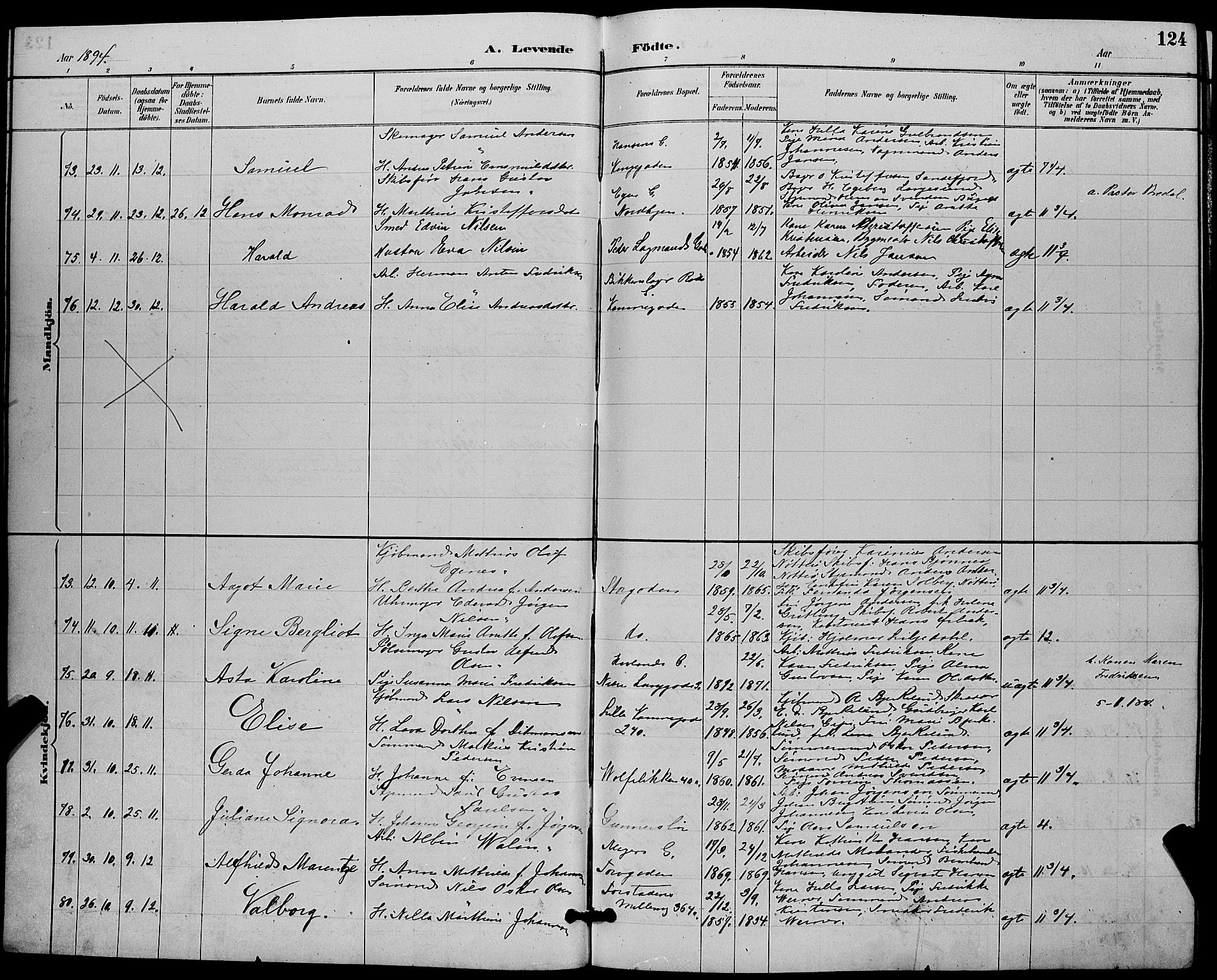 Tønsberg kirkebøker, AV/SAKO-A-330/G/Ga/L0006: Parish register (copy) no. 6, 1885-1895, p. 124