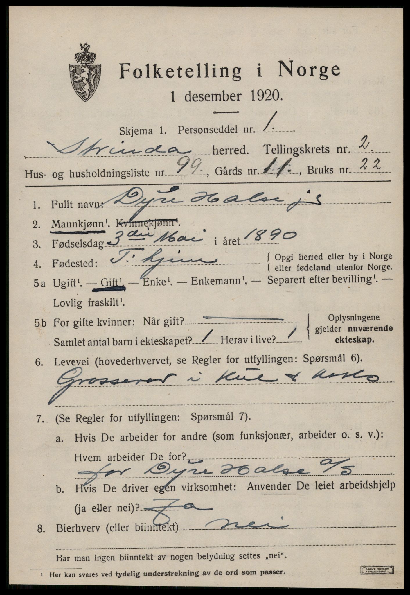 SAT, 1920 census for Strinda, 1920, p. 8620