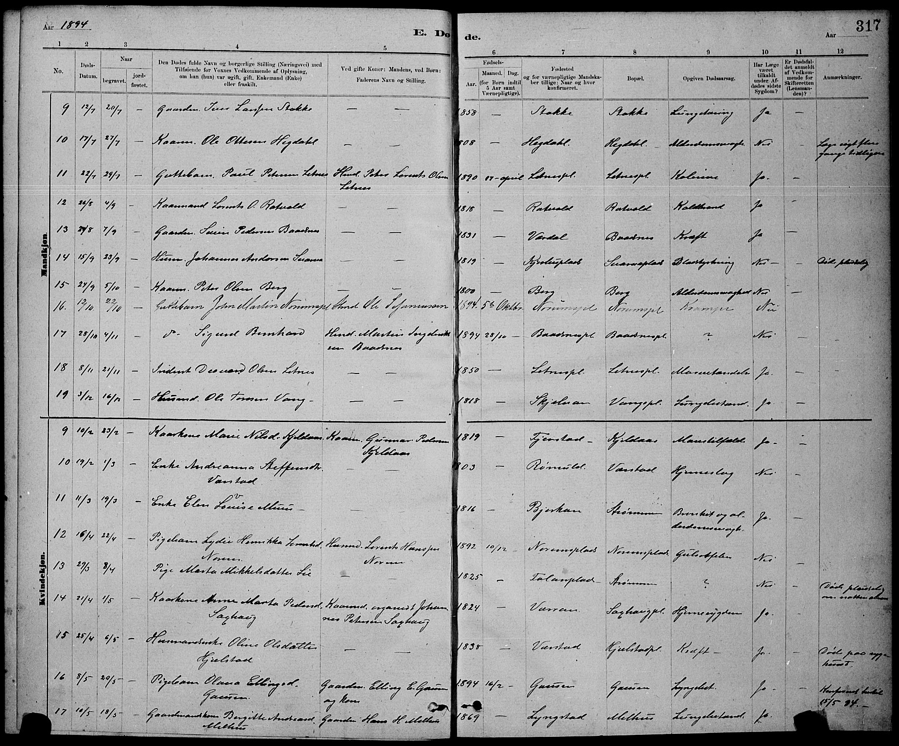 Ministerialprotokoller, klokkerbøker og fødselsregistre - Nord-Trøndelag, SAT/A-1458/730/L0301: Parish register (copy) no. 730C04, 1880-1897, p. 317