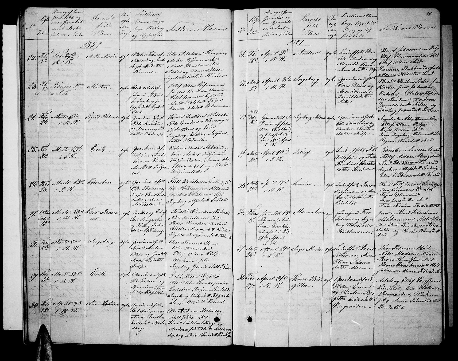 Søndeled sokneprestkontor, AV/SAK-1111-0038/F/Fb/L0004: Parish register (copy) no. B 4, 1857-1884, p. 14