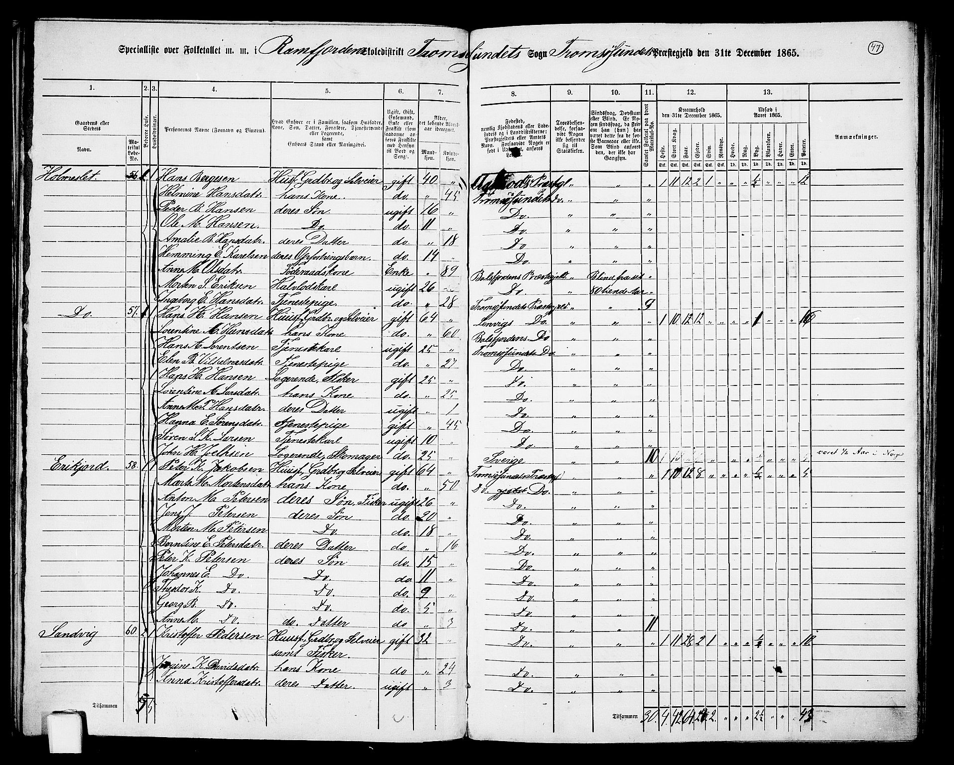 RA, 1865 census for Tromsøysund, 1865, p. 42