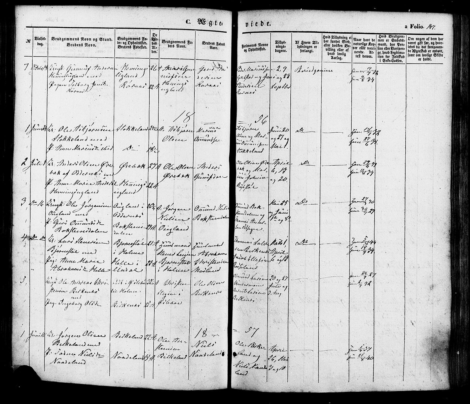 Søgne sokneprestkontor, AV/SAK-1111-0037/F/Fa/Faa/L0002: Parish register (official) no. A 2, 1854-1882, p. 147