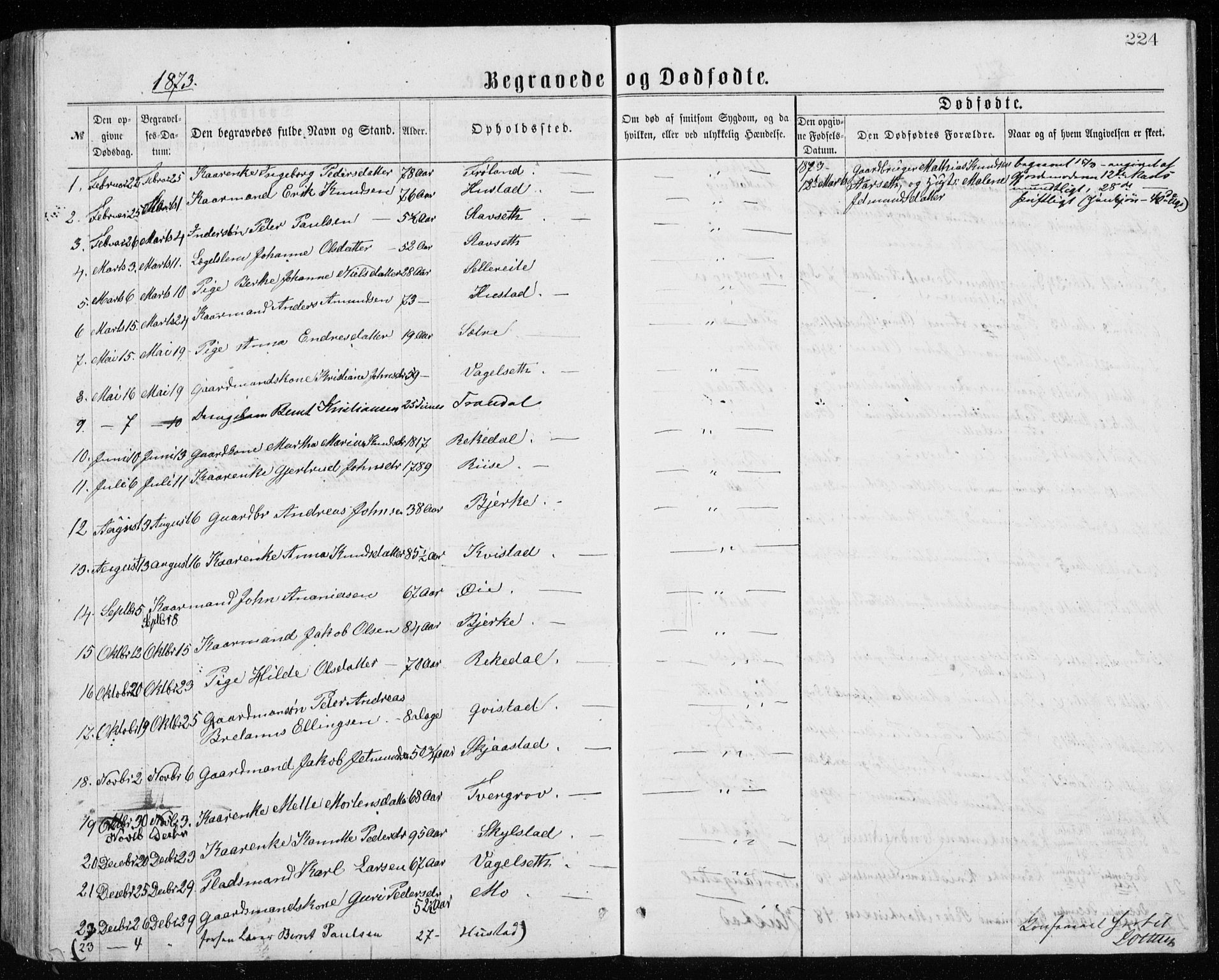 Ministerialprotokoller, klokkerbøker og fødselsregistre - Møre og Romsdal, AV/SAT-A-1454/515/L0214: Parish register (copy) no. 515C01, 1865-1883, p. 224