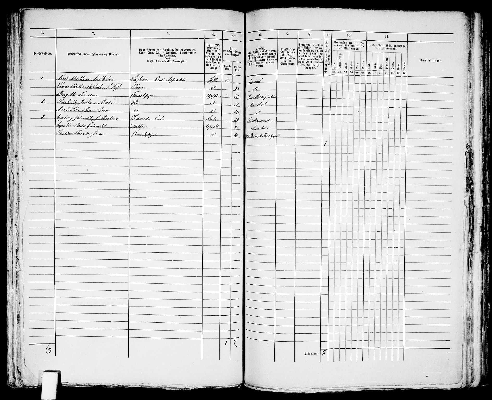 RA, 1865 census for Arendal, 1865, p. 569