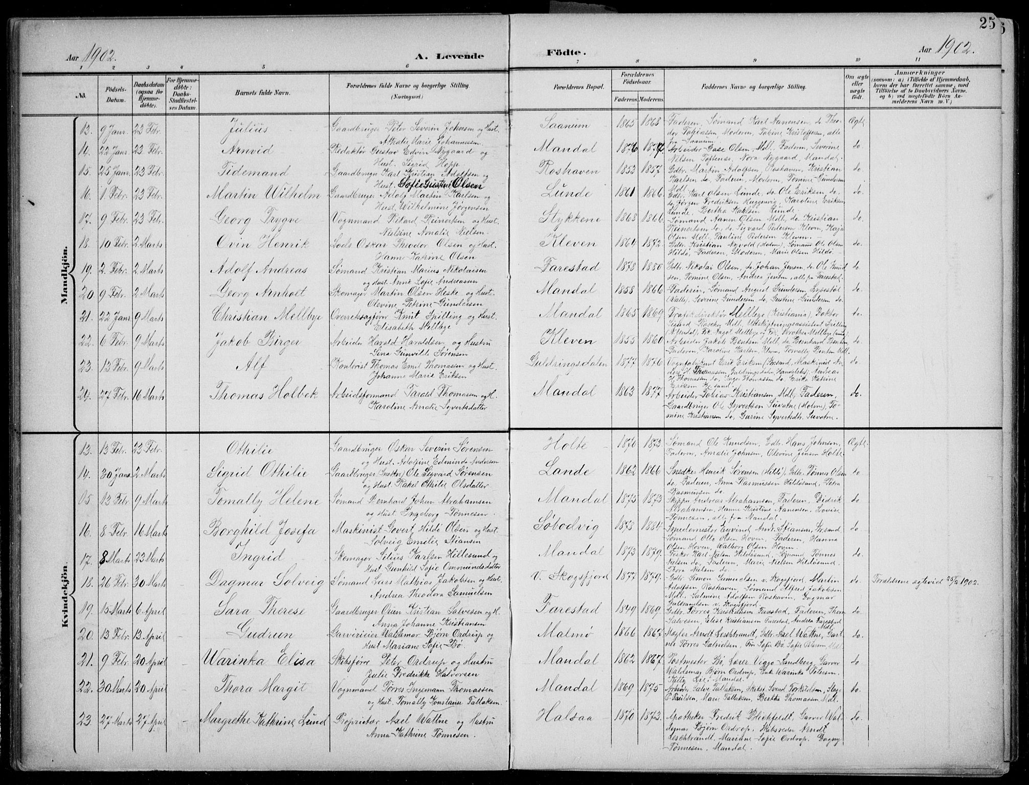 Mandal sokneprestkontor, SAK/1111-0030/F/Fb/Fba/L0012: Parish register (copy) no. B 6, 1899-1918, p. 25