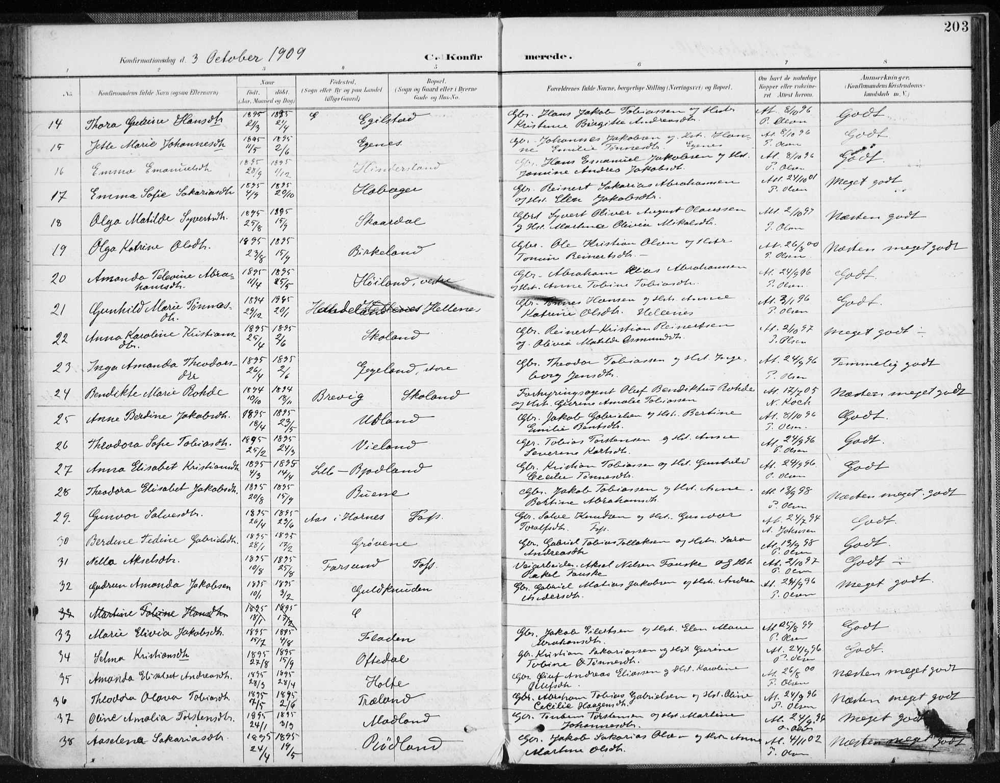 Lyngdal sokneprestkontor, AV/SAK-1111-0029/F/Fa/Fac/L0012: Parish register (official) no. A 12, 1894-1918, p. 203