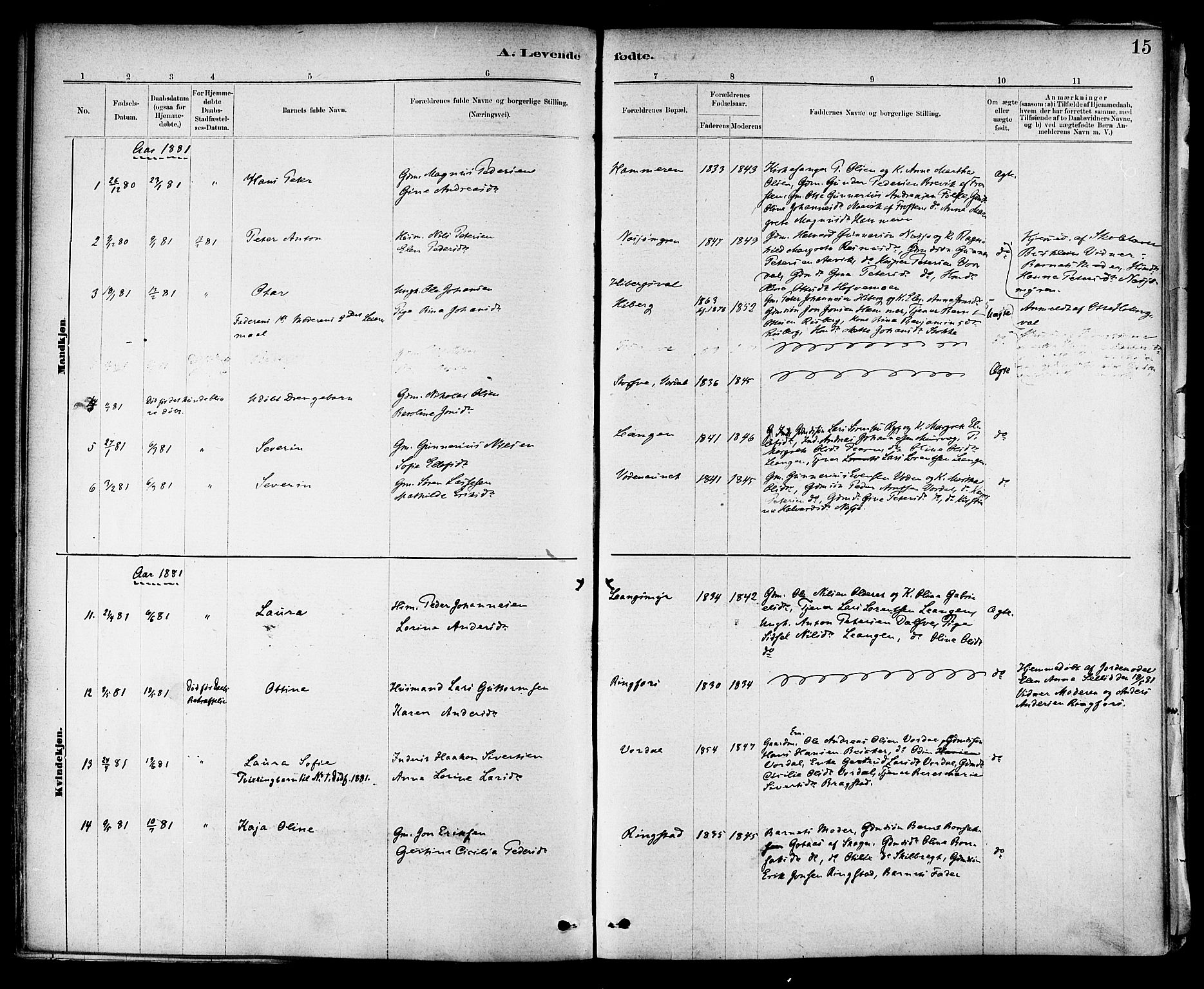 Ministerialprotokoller, klokkerbøker og fødselsregistre - Nord-Trøndelag, AV/SAT-A-1458/714/L0130: Parish register (official) no. 714A01, 1878-1895, p. 15