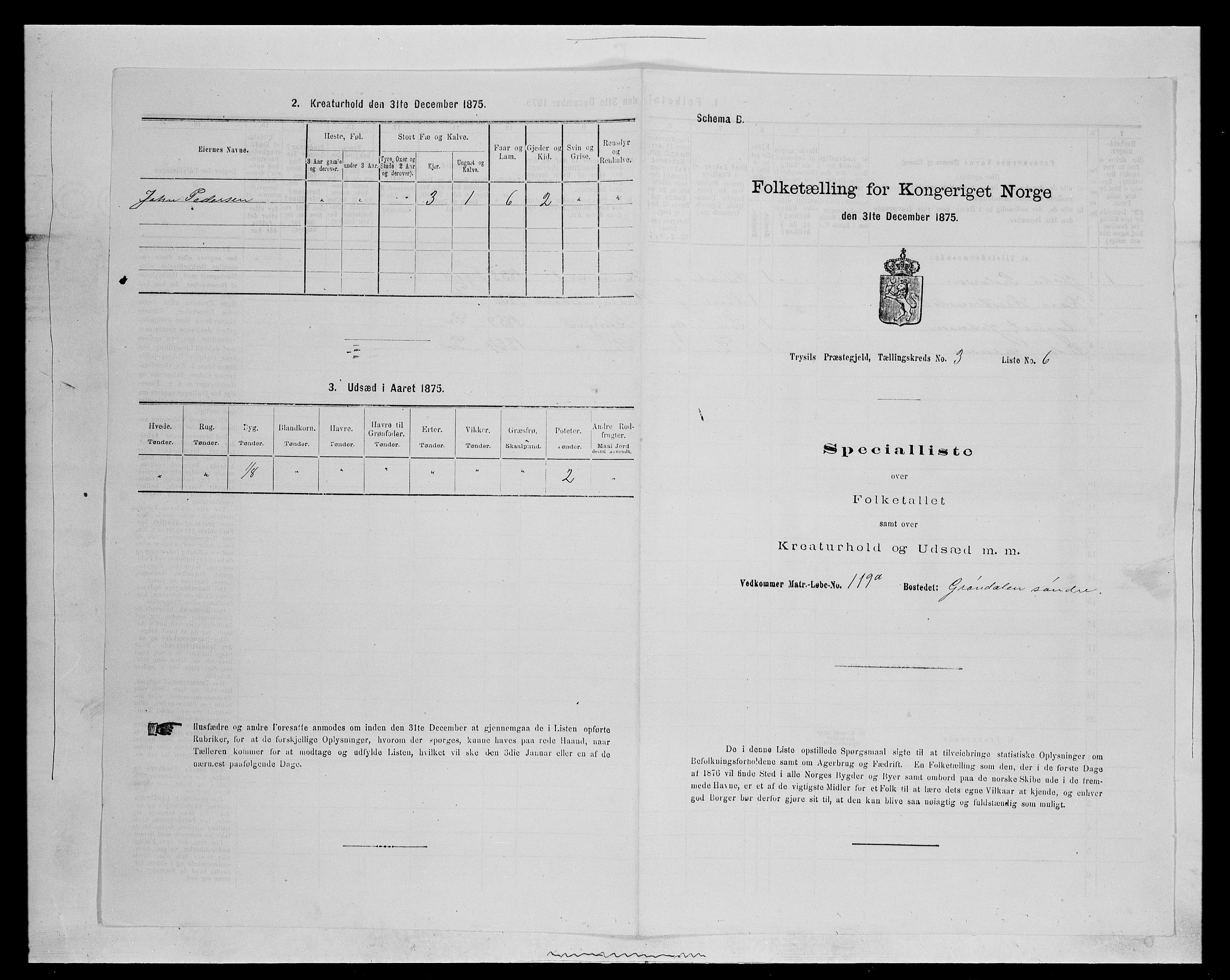 SAH, 1875 census for 0428P Trysil, 1875, p. 414