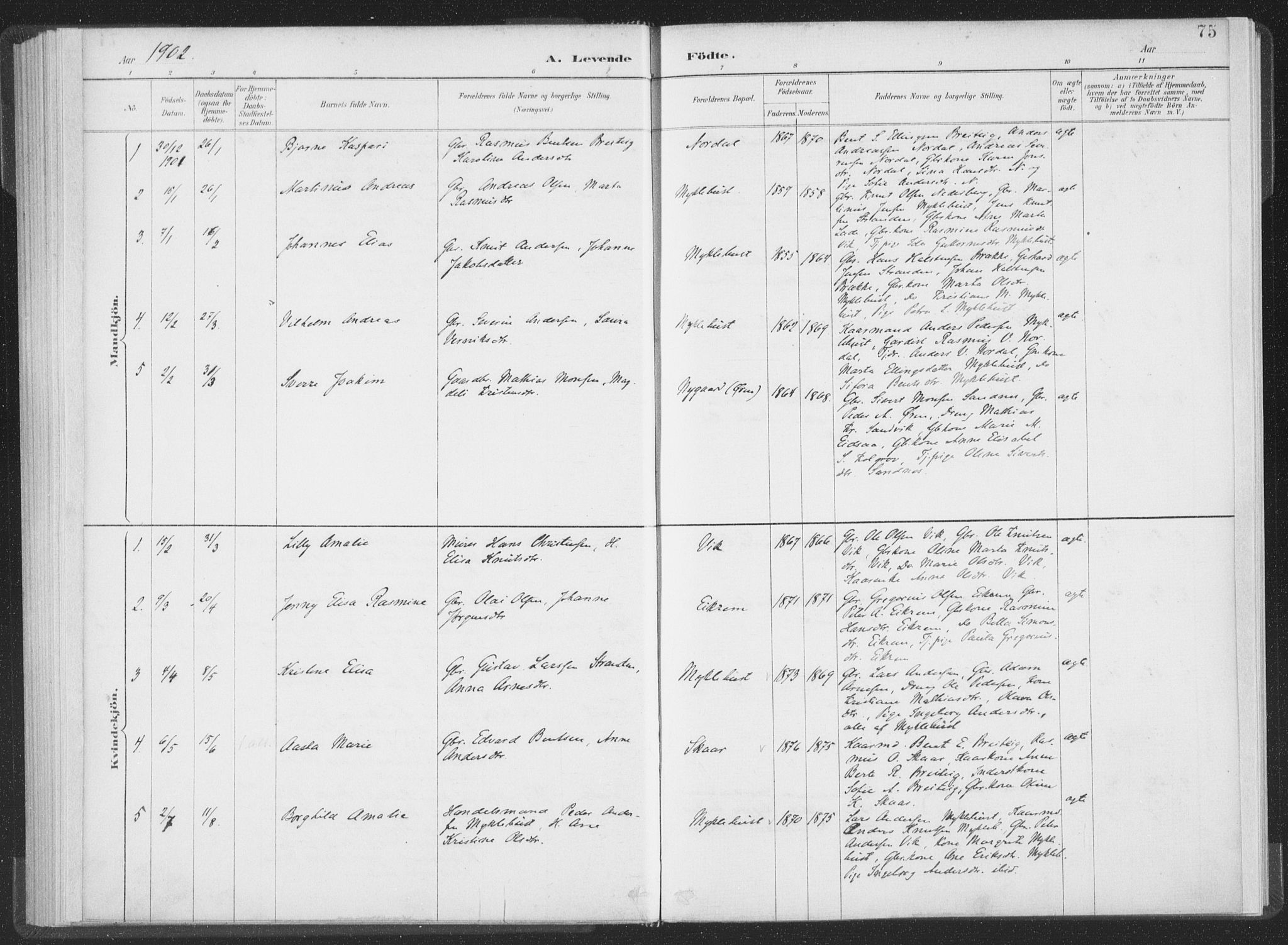 Ministerialprotokoller, klokkerbøker og fødselsregistre - Møre og Romsdal, SAT/A-1454/502/L0025: Parish register (official) no. 502A03, 1885-1909, p. 75