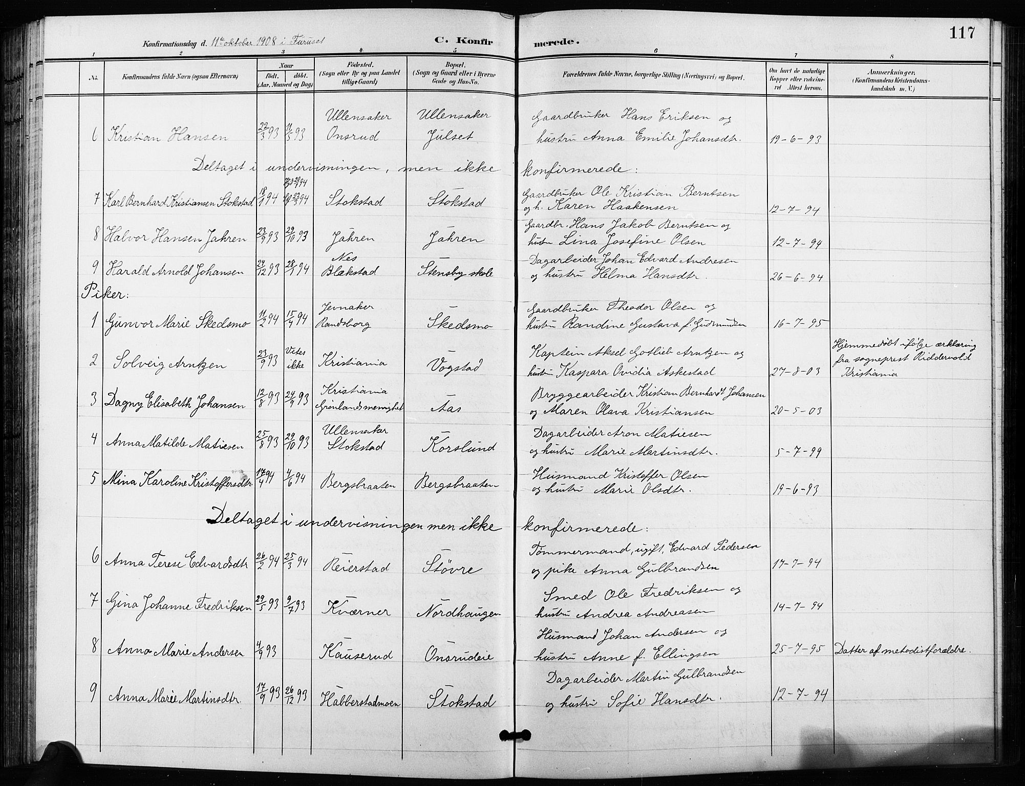 Ullensaker prestekontor Kirkebøker, AV/SAO-A-10236a/G/Ga/L0002: Parish register (copy) no. I 2, 1901-1913, p. 117