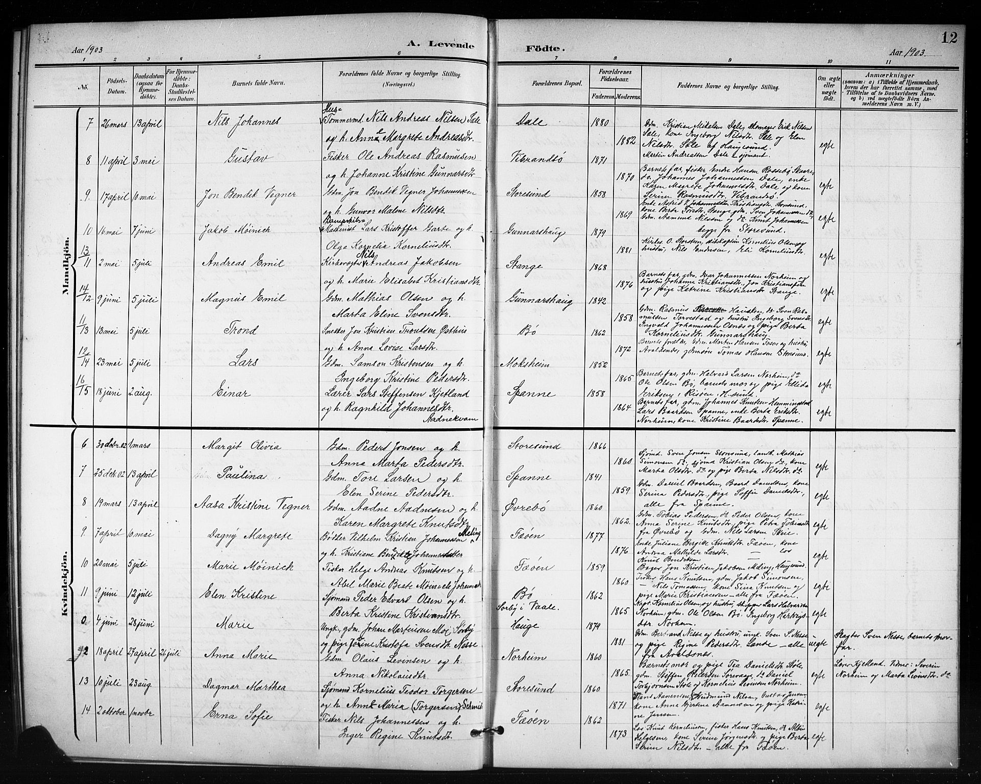 Torvastad sokneprestkontor, AV/SAST-A -101857/H/Ha/Hab/L0008: Parish register (copy) no. B 8, 1901-1924, p. 12