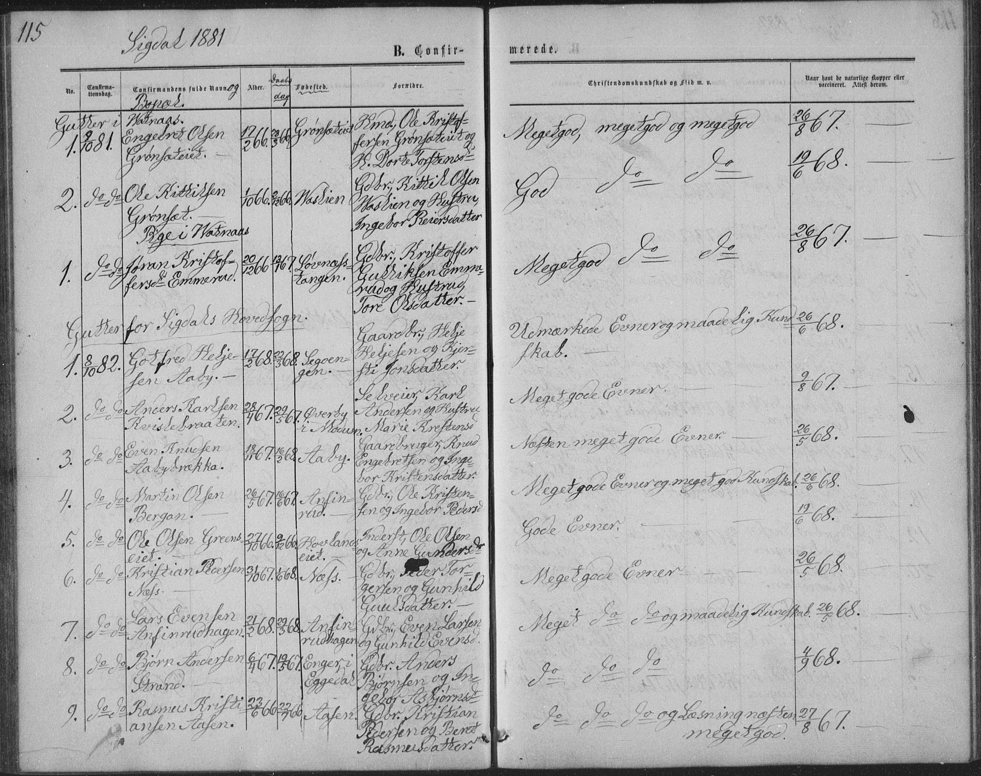 Sigdal kirkebøker, SAKO/A-245/G/Ga/L0004: Parish register (copy) no. I 4, 1879-1885, p. 115