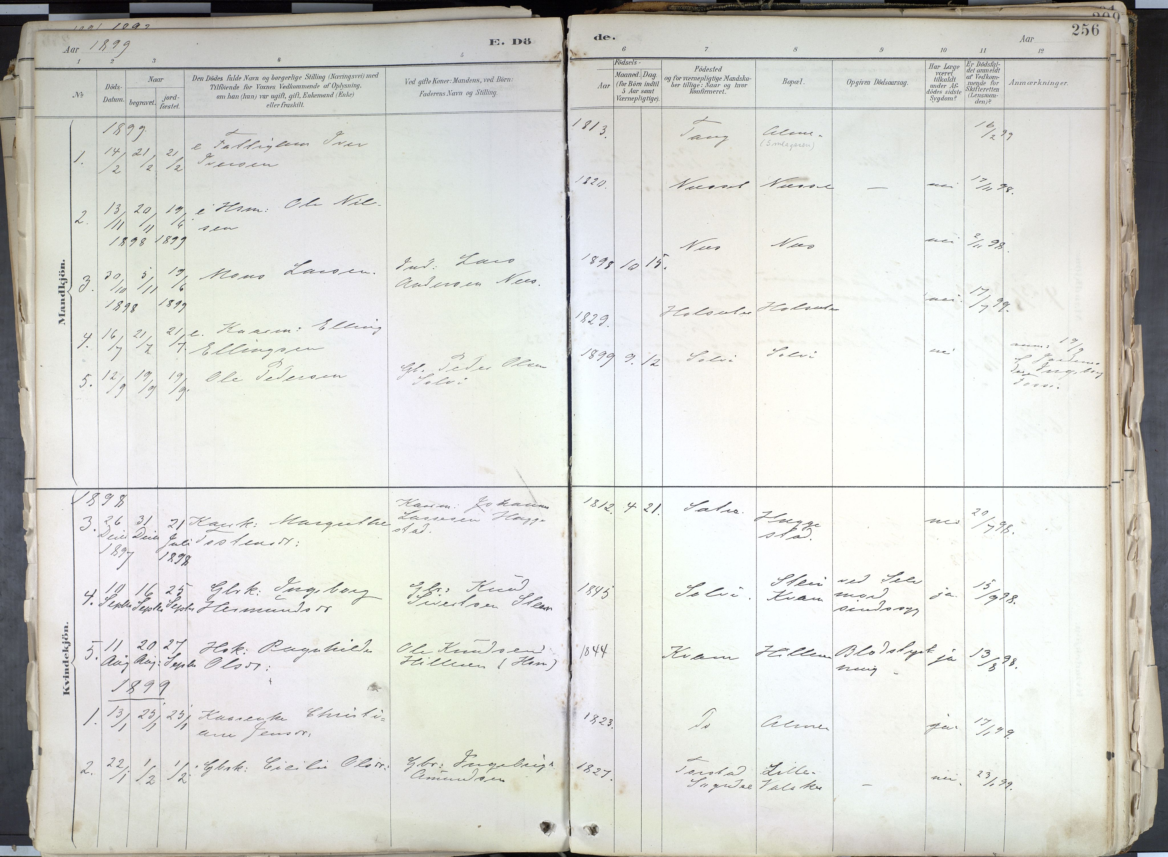 Hafslo sokneprestembete, SAB/A-80301/H/Haa/Haab/L0001: Parish register (official) no. B 1, 1886-1945, p. 256