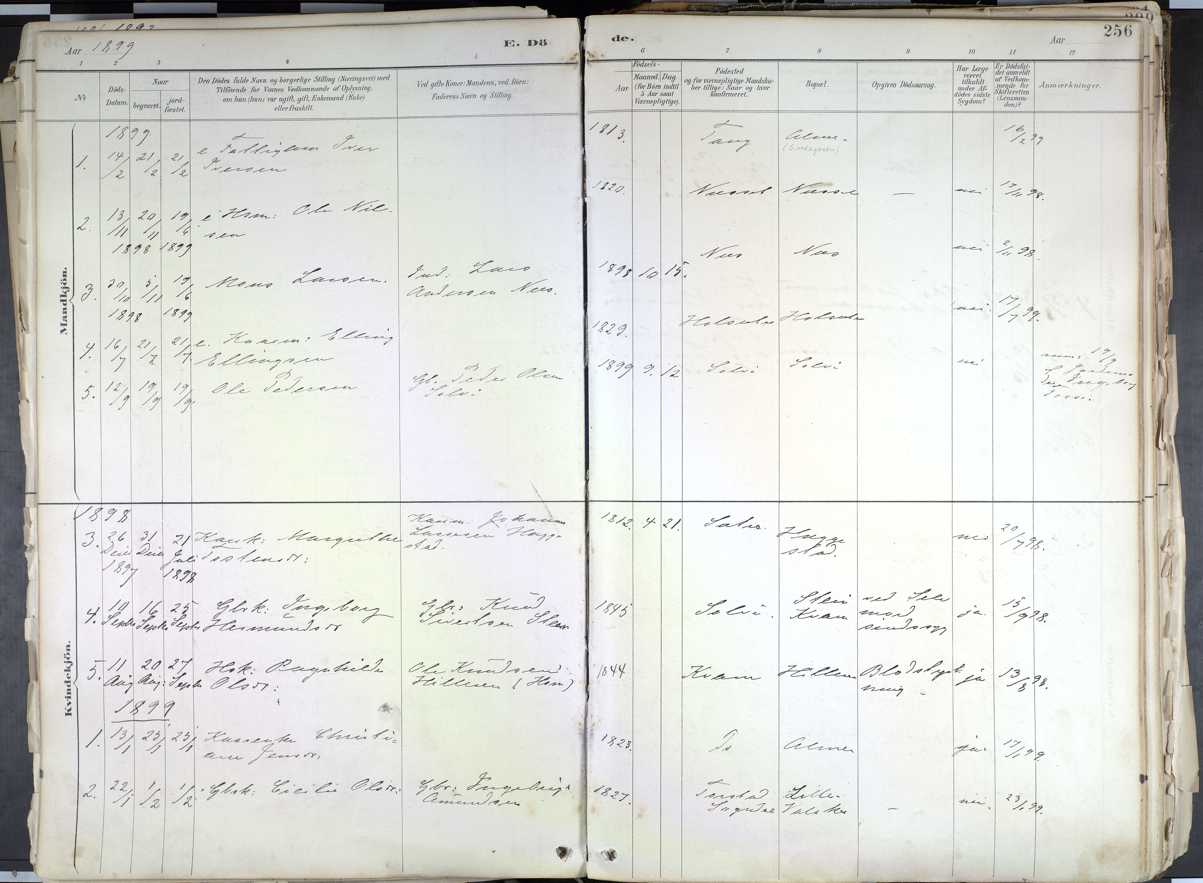 Hafslo sokneprestembete, AV/SAB-A-80301/H/Haa/Haab/L0001: Parish register (official) no. B 1, 1886-1945, p. 256