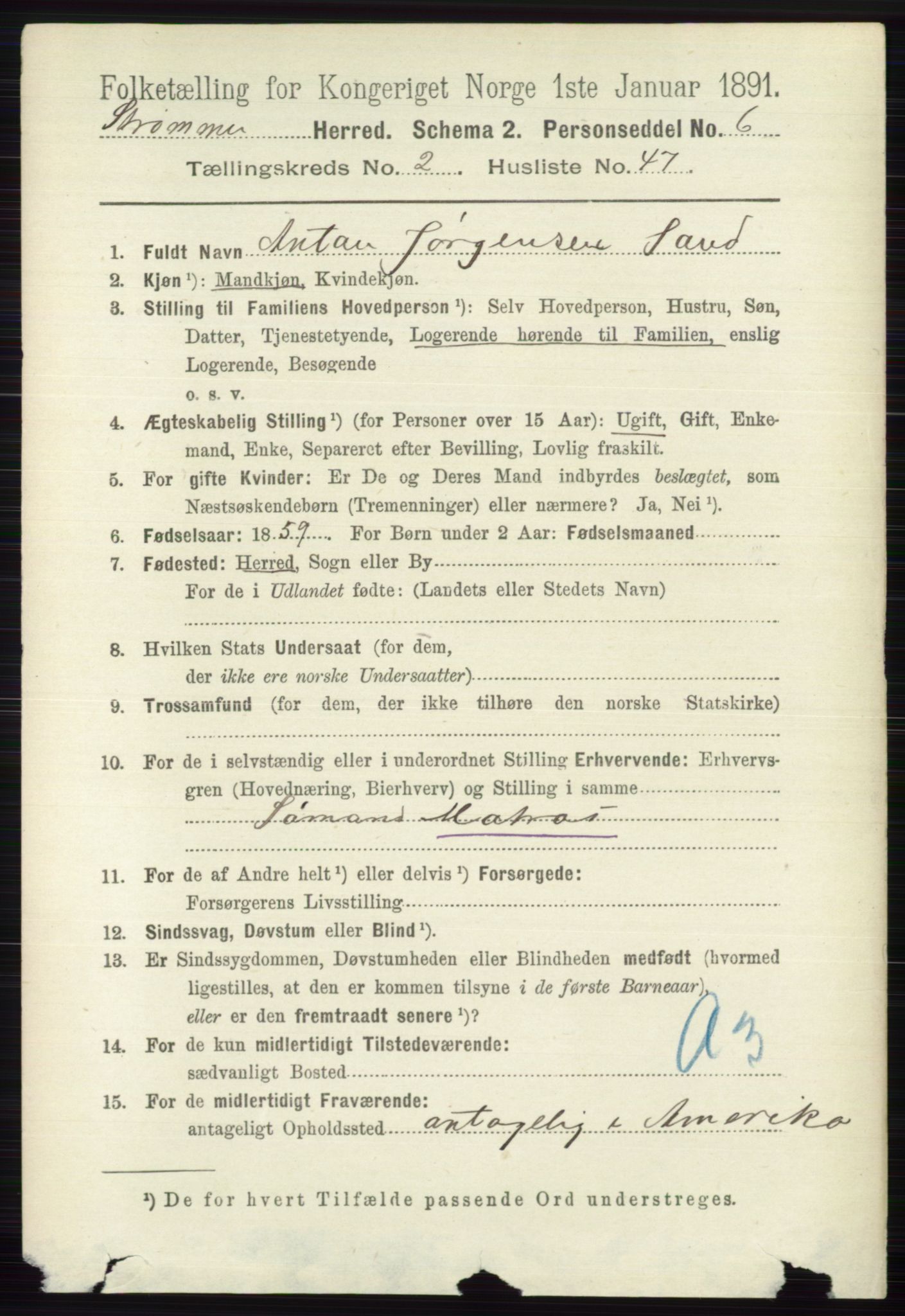 RA, 1891 census for 0711 Strømm, 1891, p. 985