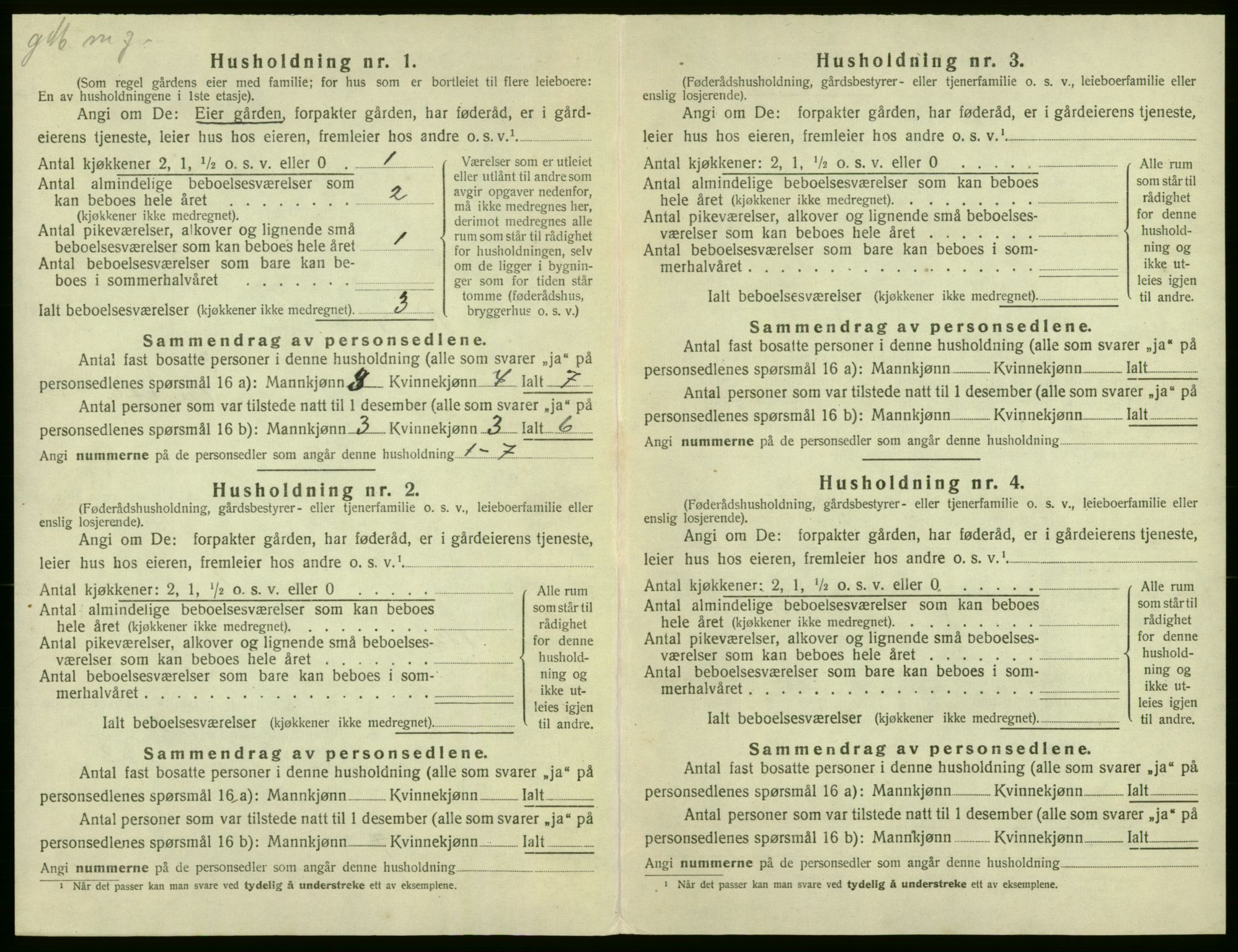 SAB, 1920 census for Røldal, 1920, p. 101