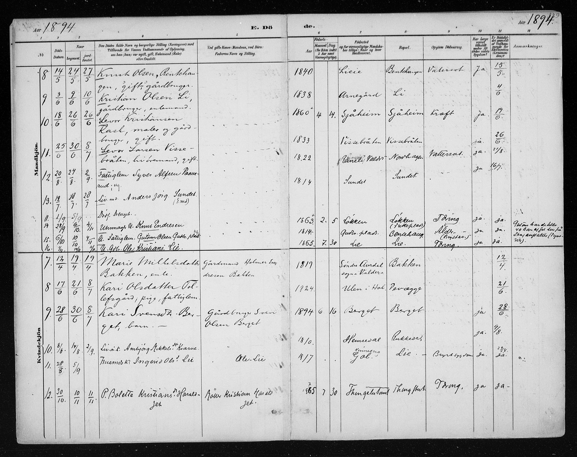 Nes kirkebøker, AV/SAKO-A-236/F/Fa/L0011: Parish register (official) no. 11, 1881-1912, p. 339