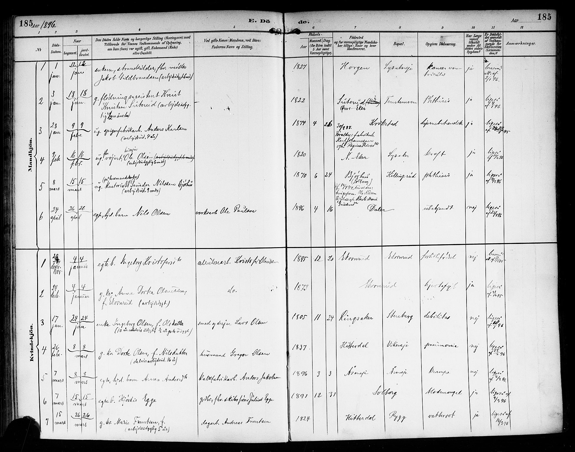 Nedre Eiker kirkebøker, AV/SAKO-A-612/F/Fa/L0004: Parish register (official) no. 4, 1893-1898, p. 185