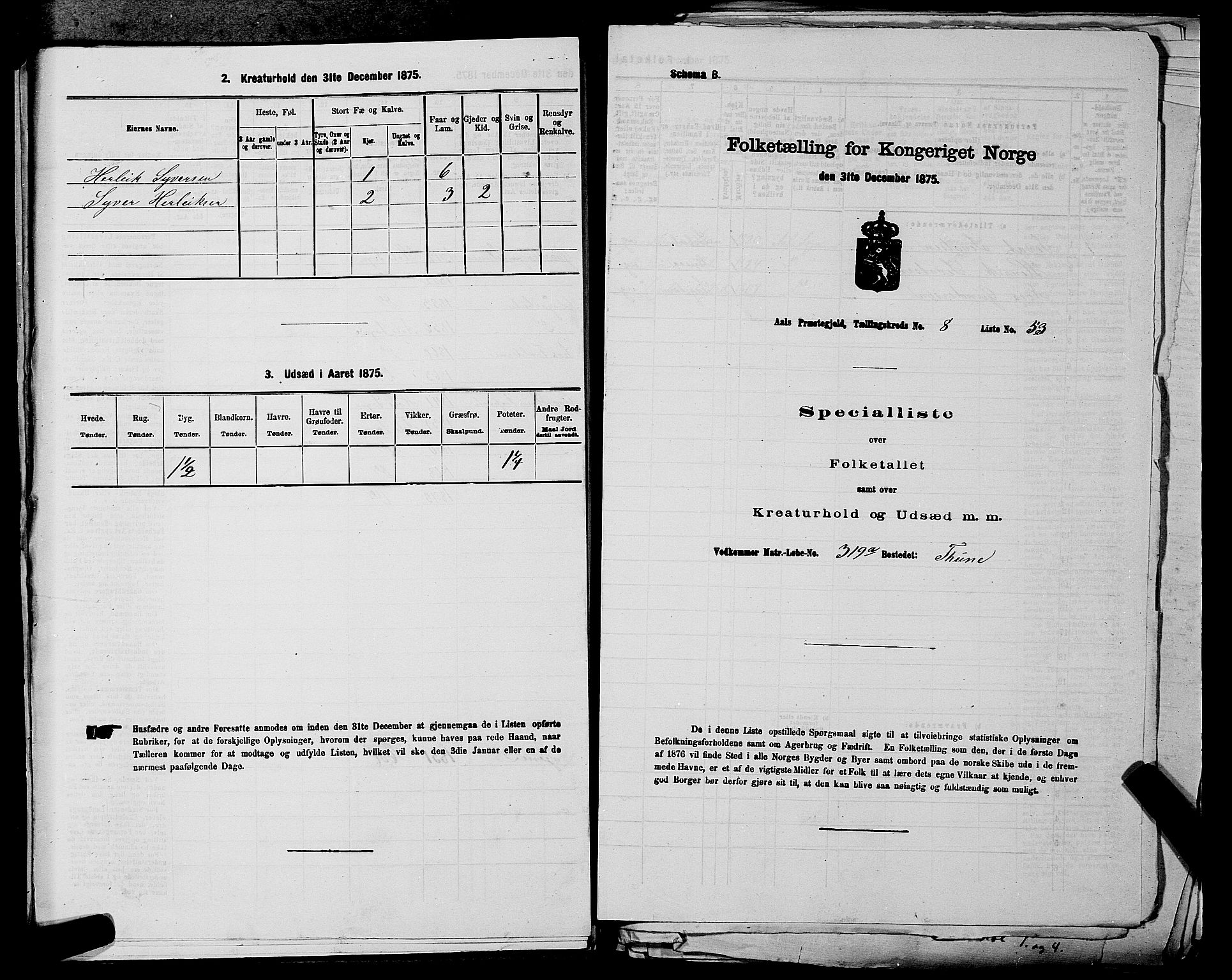 SAKO, 1875 census for 0619P Ål, 1875, p. 1087