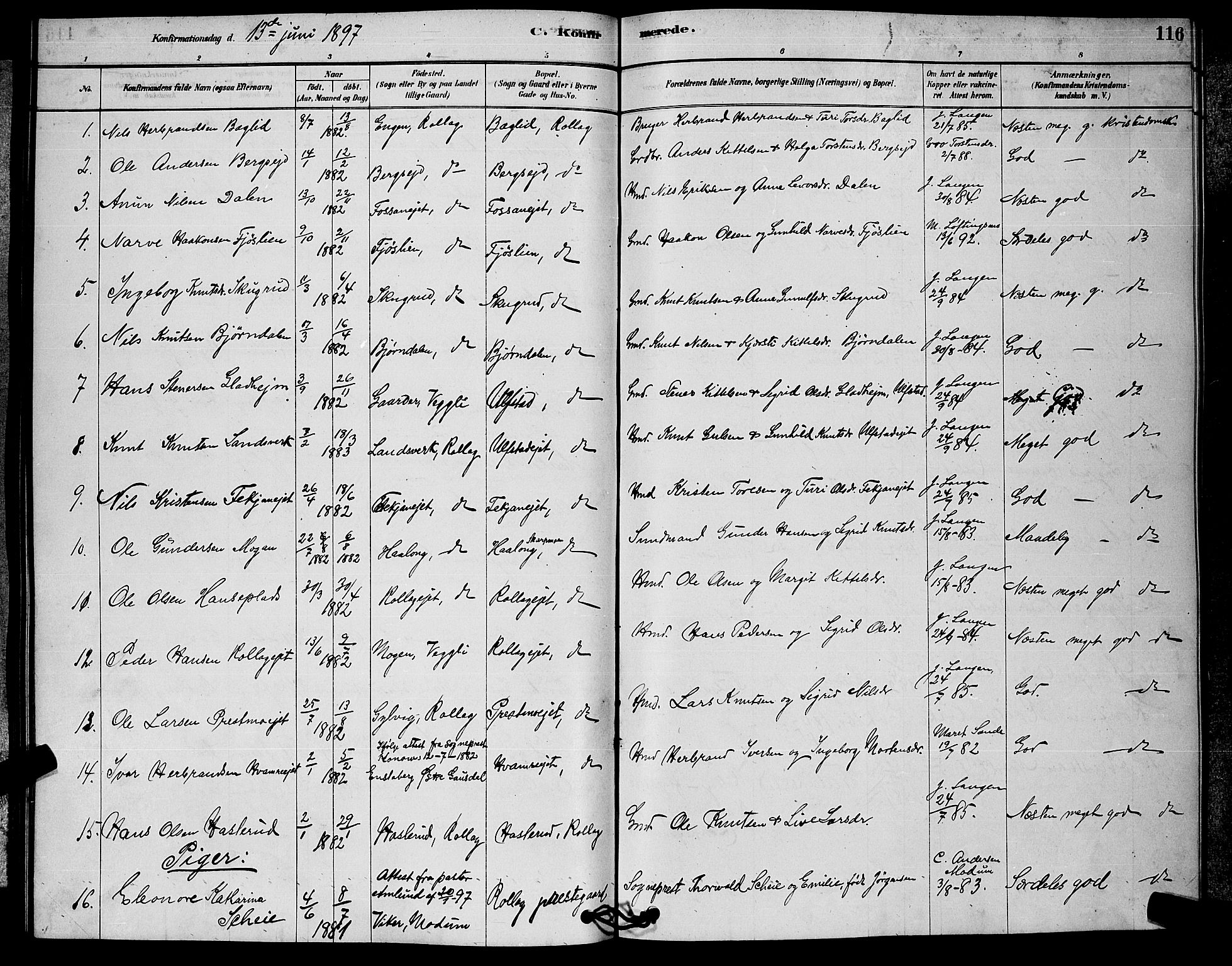 Rollag kirkebøker, SAKO/A-240/G/Ga/L0004: Parish register (copy) no. I 4, 1878-1903, p. 116
