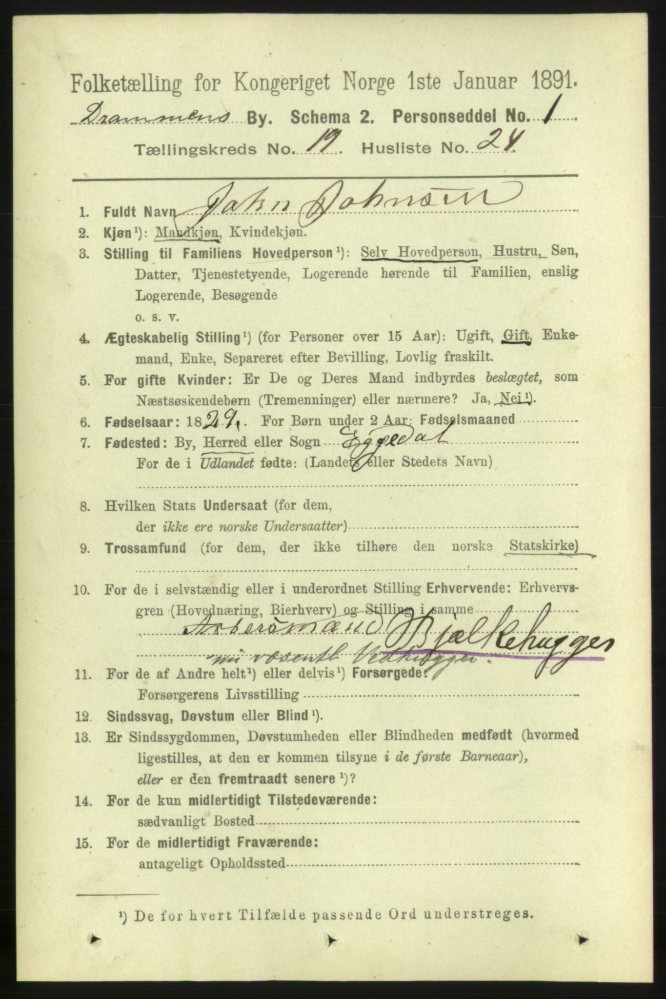 RA, 1891 census for 0602 Drammen, 1891, p. 12239