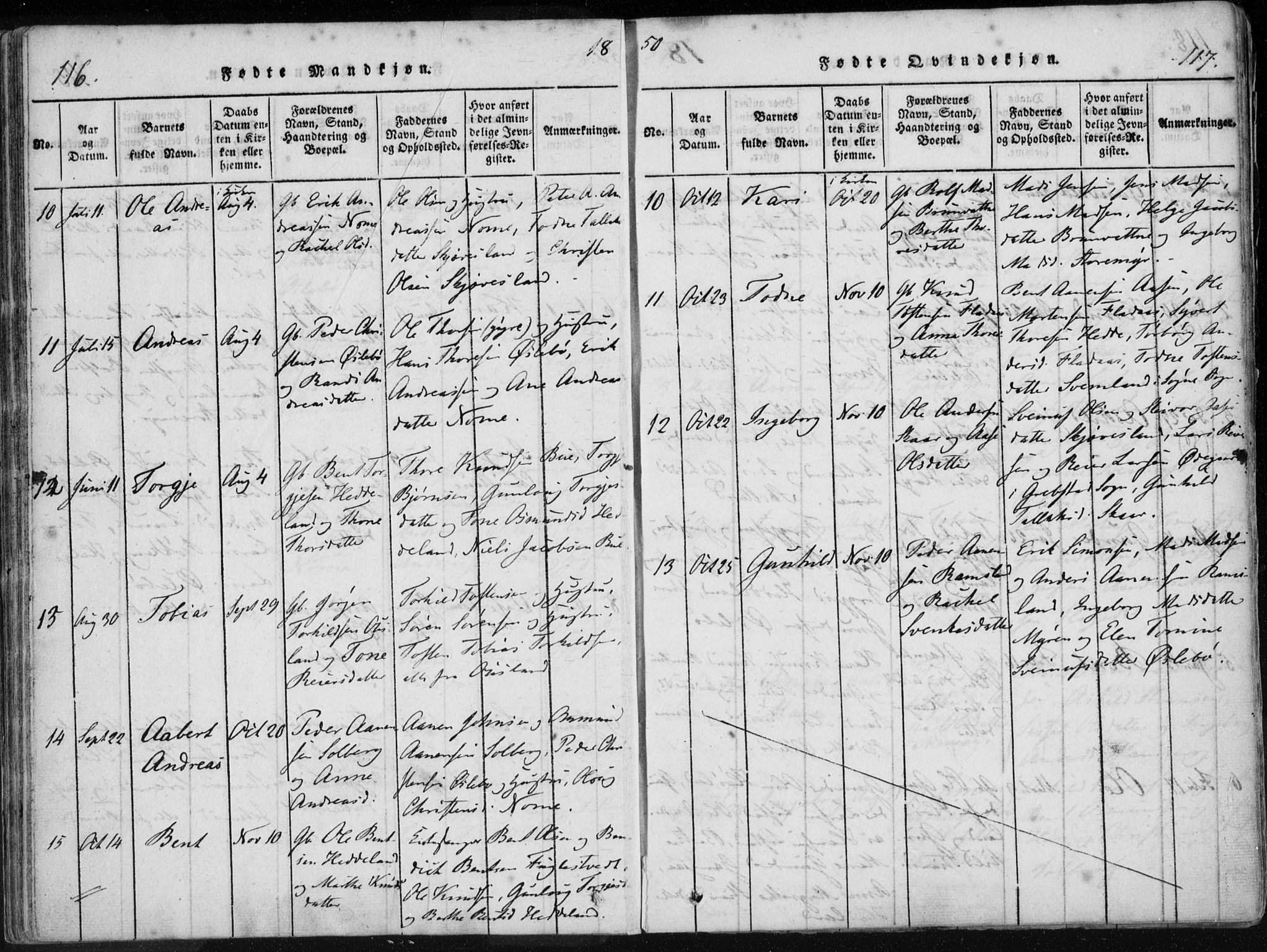 Holum sokneprestkontor, AV/SAK-1111-0022/F/Fa/Fac/L0002: Parish register (official) no. A 2, 1821-1859, p. 116-117