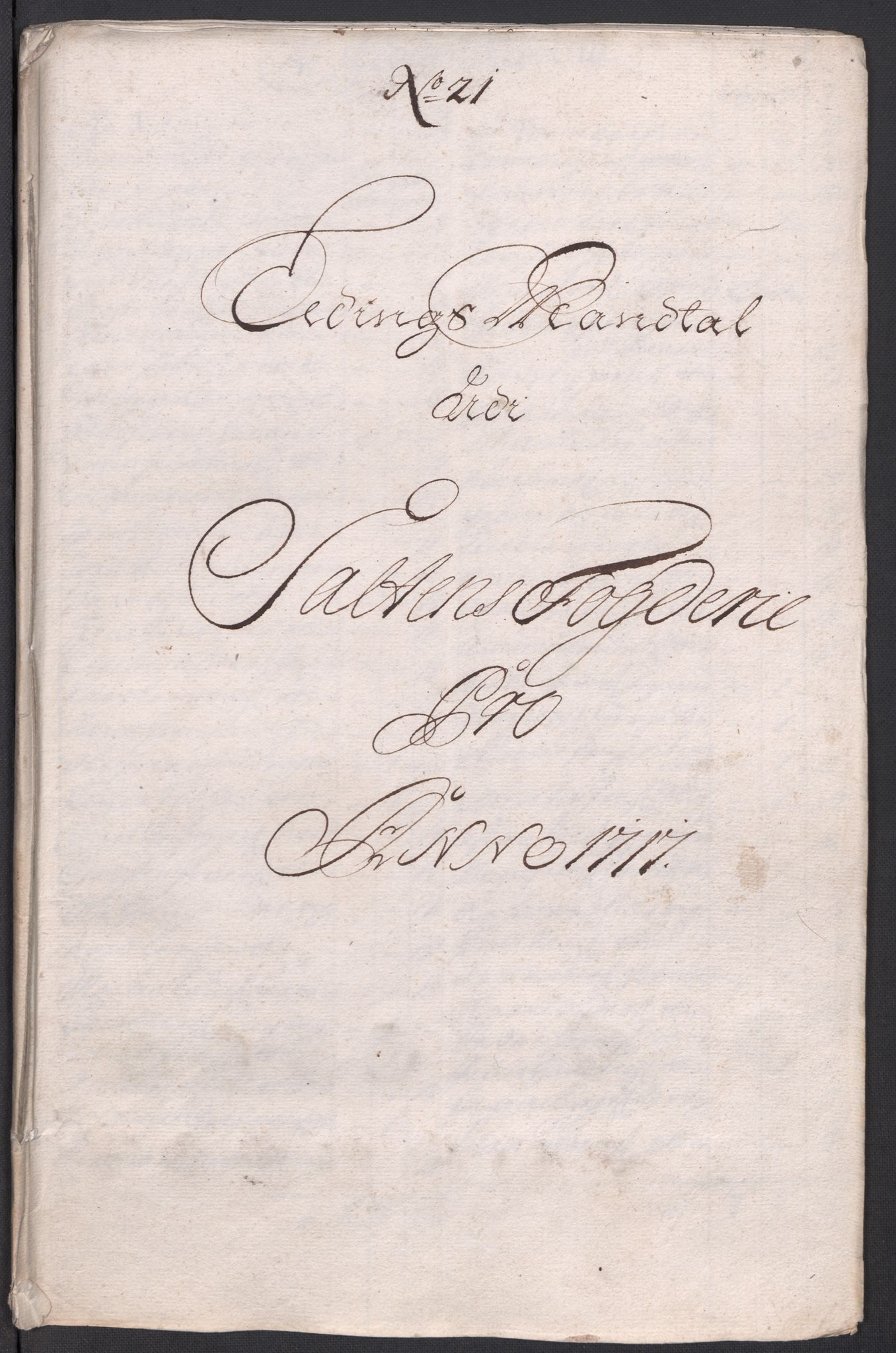 Rentekammeret inntil 1814, Reviderte regnskaper, Fogderegnskap, AV/RA-EA-4092/R66/L4587: Fogderegnskap Salten, 1717, p. 236