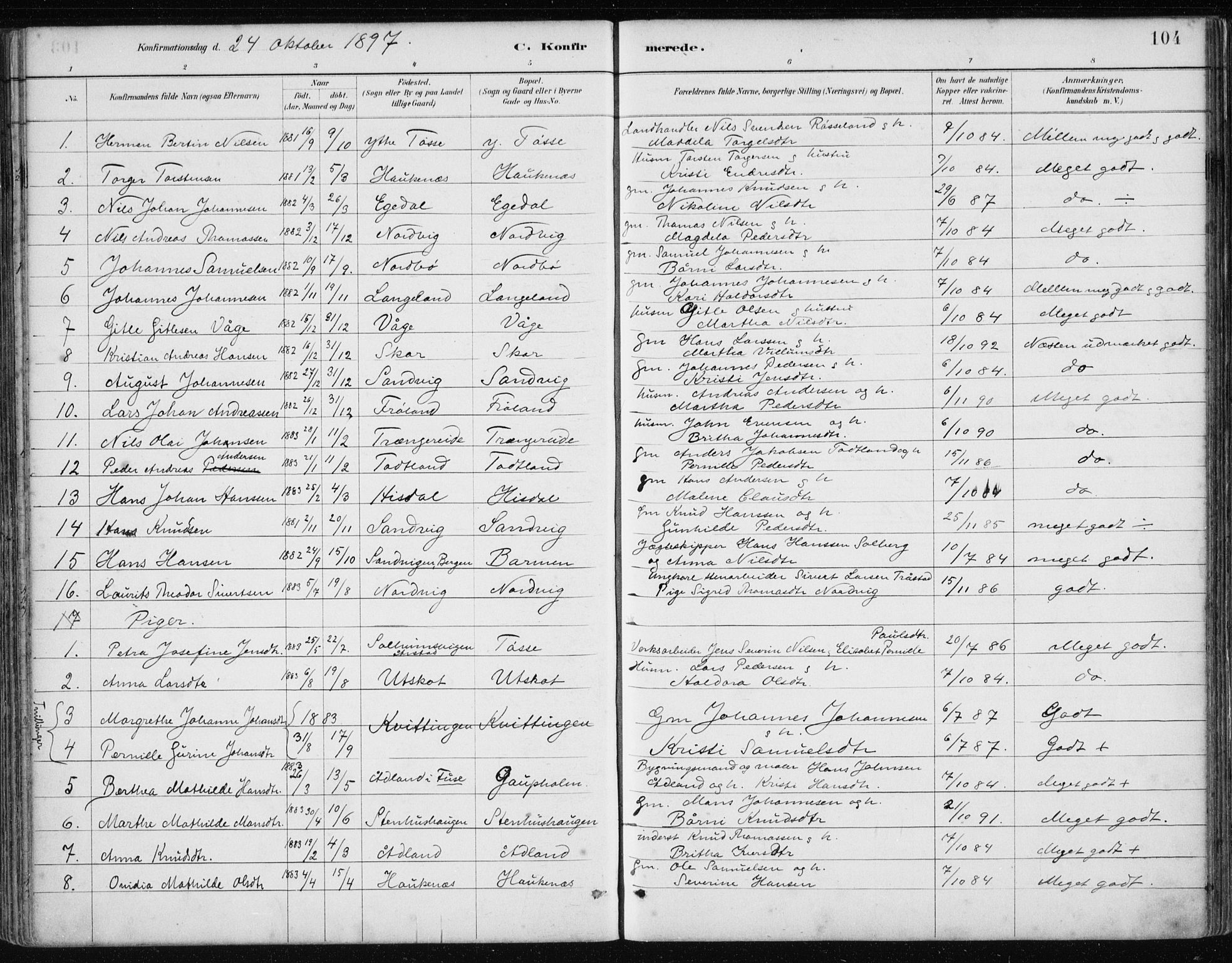 Samnanger Sokneprestembete, AV/SAB-A-77501/H/Haa: Parish register (official) no. A 1, 1885-1901, p. 104