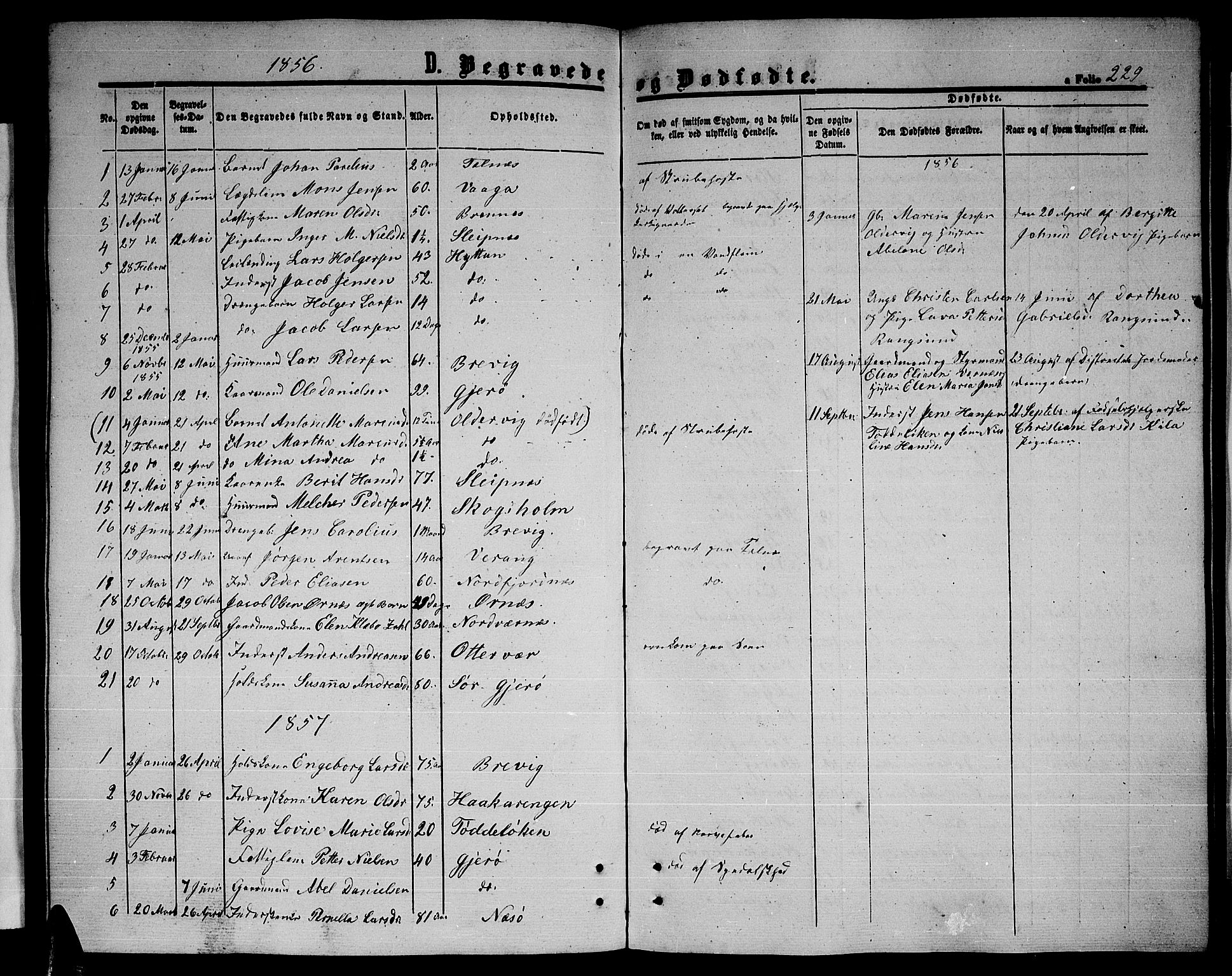 Ministerialprotokoller, klokkerbøker og fødselsregistre - Nordland, SAT/A-1459/841/L0619: Parish register (copy) no. 841C03, 1856-1876, p. 229