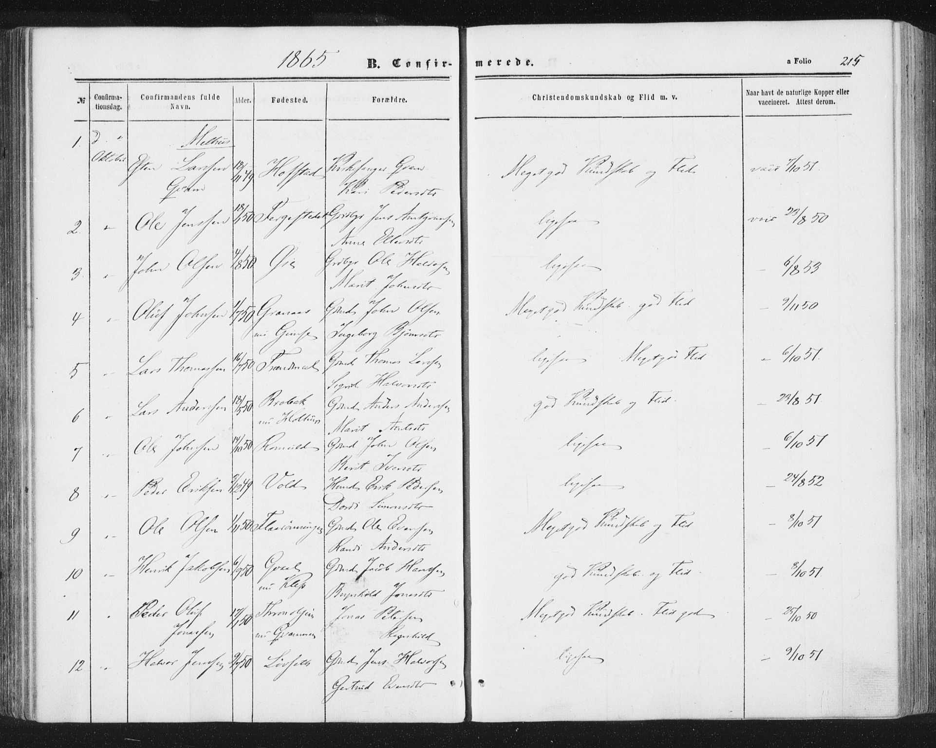 Ministerialprotokoller, klokkerbøker og fødselsregistre - Sør-Trøndelag, AV/SAT-A-1456/691/L1077: Parish register (official) no. 691A09, 1862-1873, p. 215