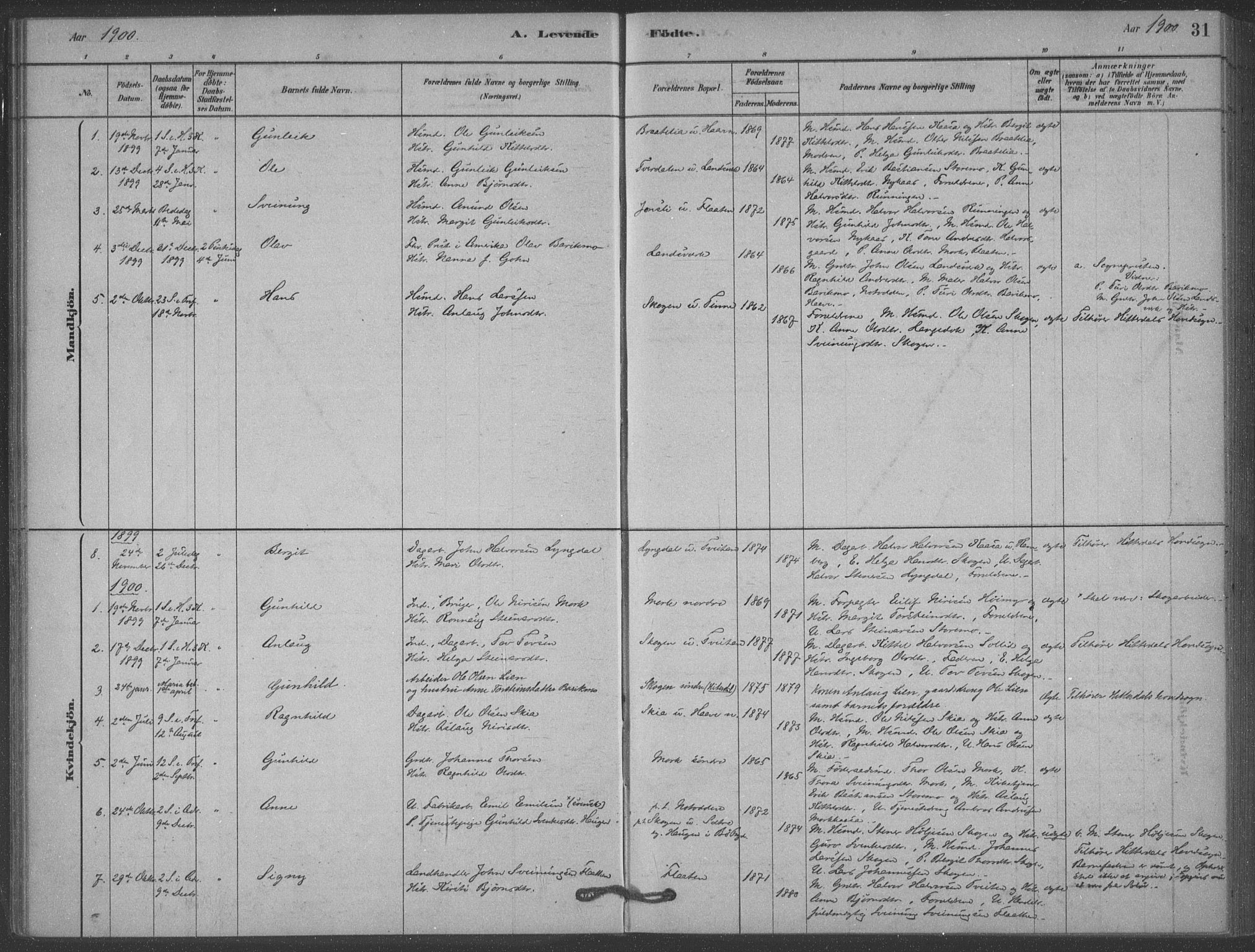 Heddal kirkebøker, SAKO/A-268/F/Fb/L0002: Parish register (official) no. II 2, 1878-1913, p. 31