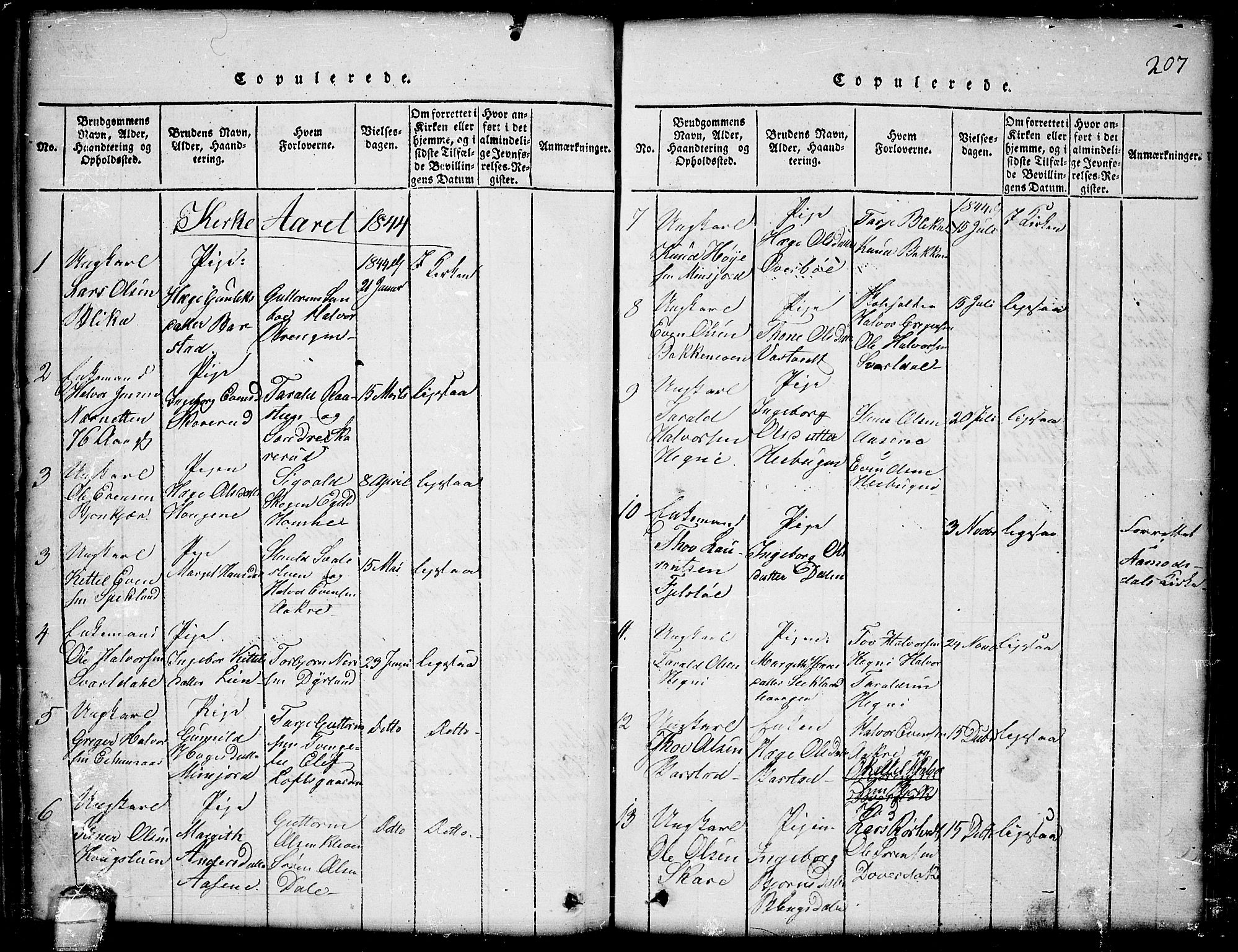 Seljord kirkebøker, SAKO/A-20/G/Gb/L0002: Parish register (copy) no. II 2, 1815-1854, p. 207