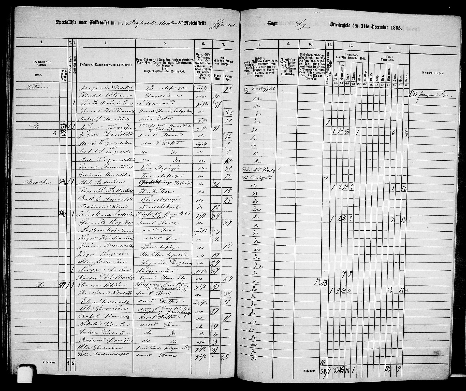 RA, 1865 census for Lye, 1865, p. 146