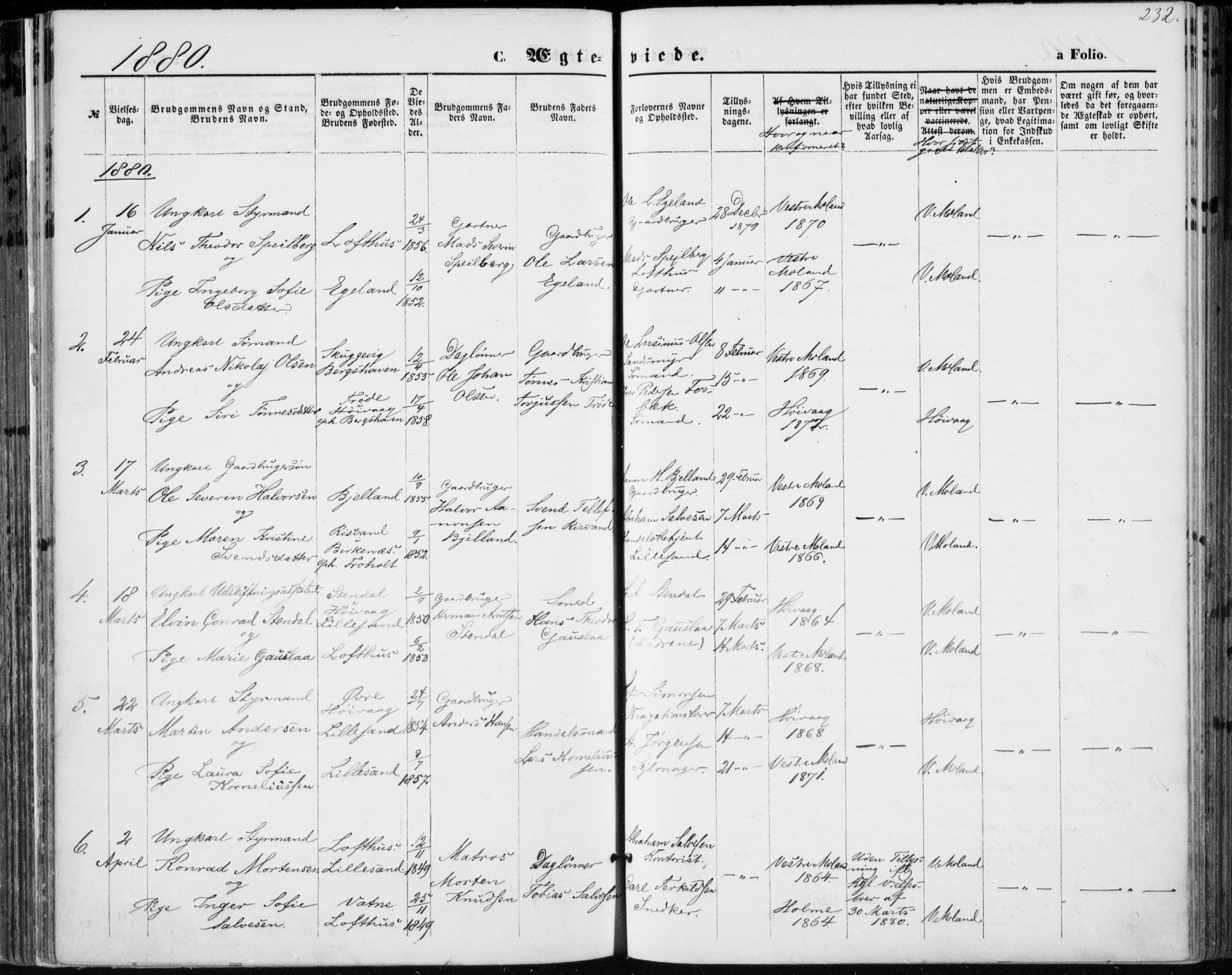 Vestre Moland sokneprestkontor, SAK/1111-0046/F/Fa/Fab/L0008: Parish register (official) no. A 8, 1873-1883, p. 232