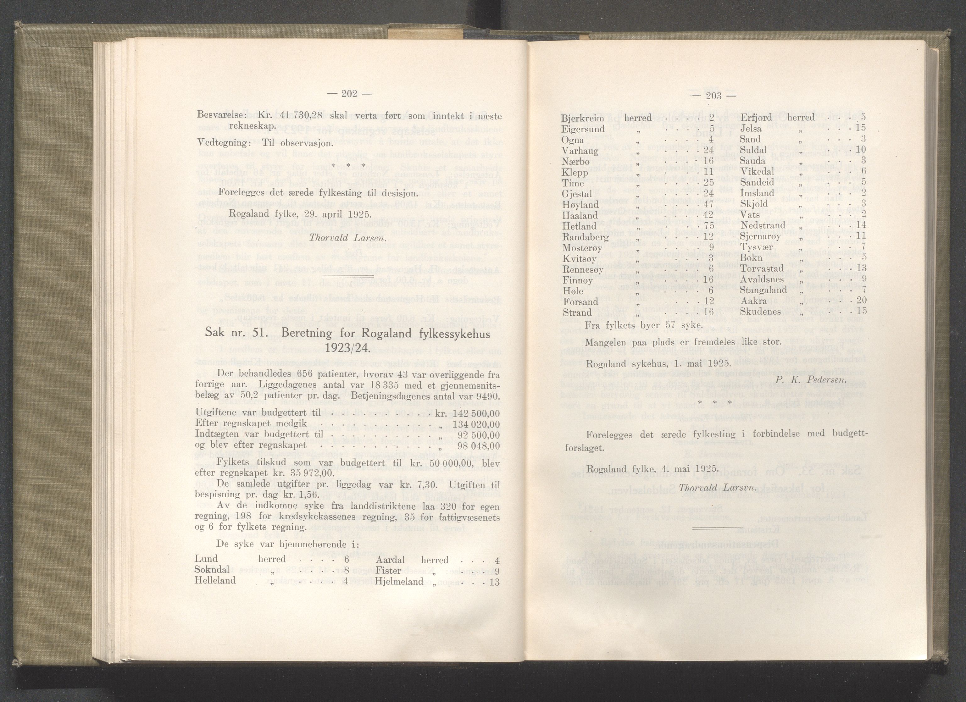 Rogaland fylkeskommune - Fylkesrådmannen , IKAR/A-900/A/Aa/Aaa/L0044: Møtebok , 1925, p. 202-203