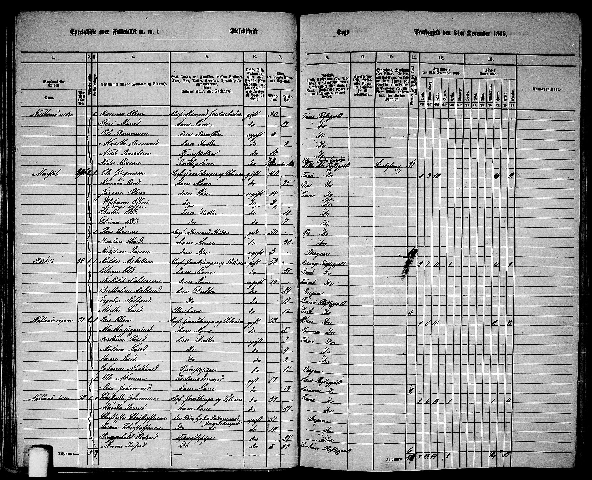 RA, 1865 census for Fana, 1865, p. 31