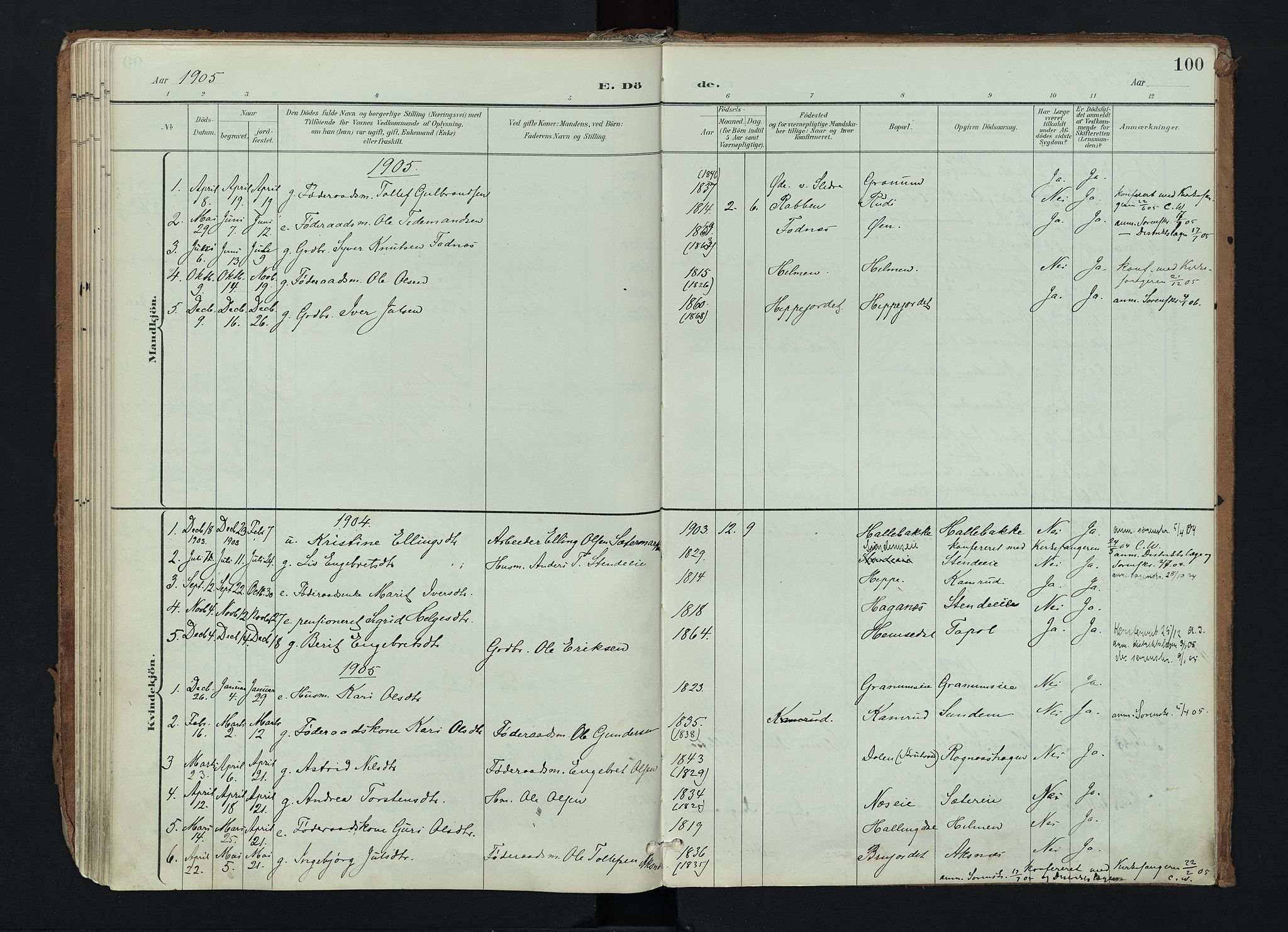 Nord-Aurdal prestekontor, SAH/PREST-132/H/Ha/Haa/L0017: Parish register (official) no. 17, 1897-1926, p. 100