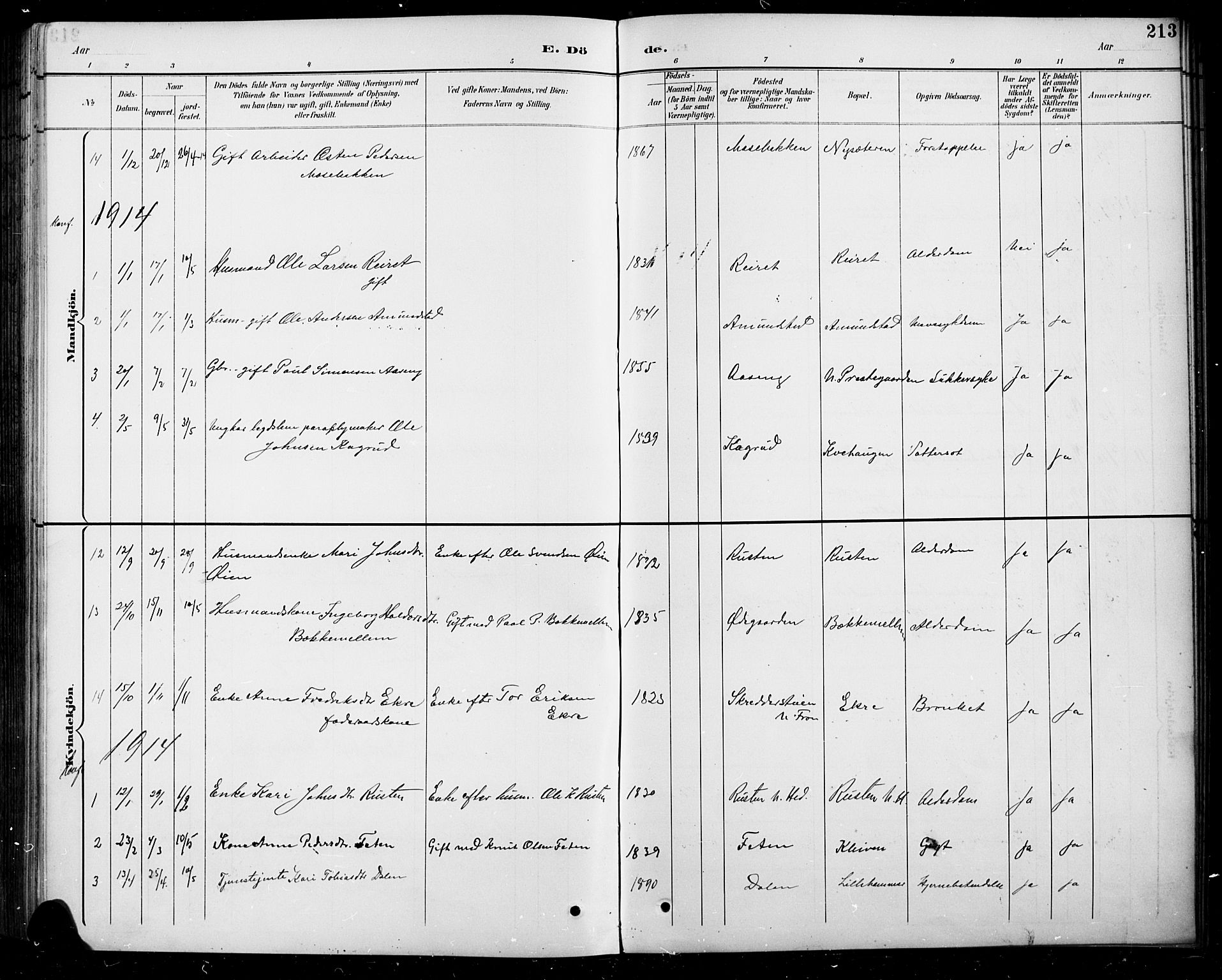 Sel prestekontor, SAH/PREST-074/H/Ha/Hab/L0005: Parish register (copy) no. 5, 1894-1923, p. 213