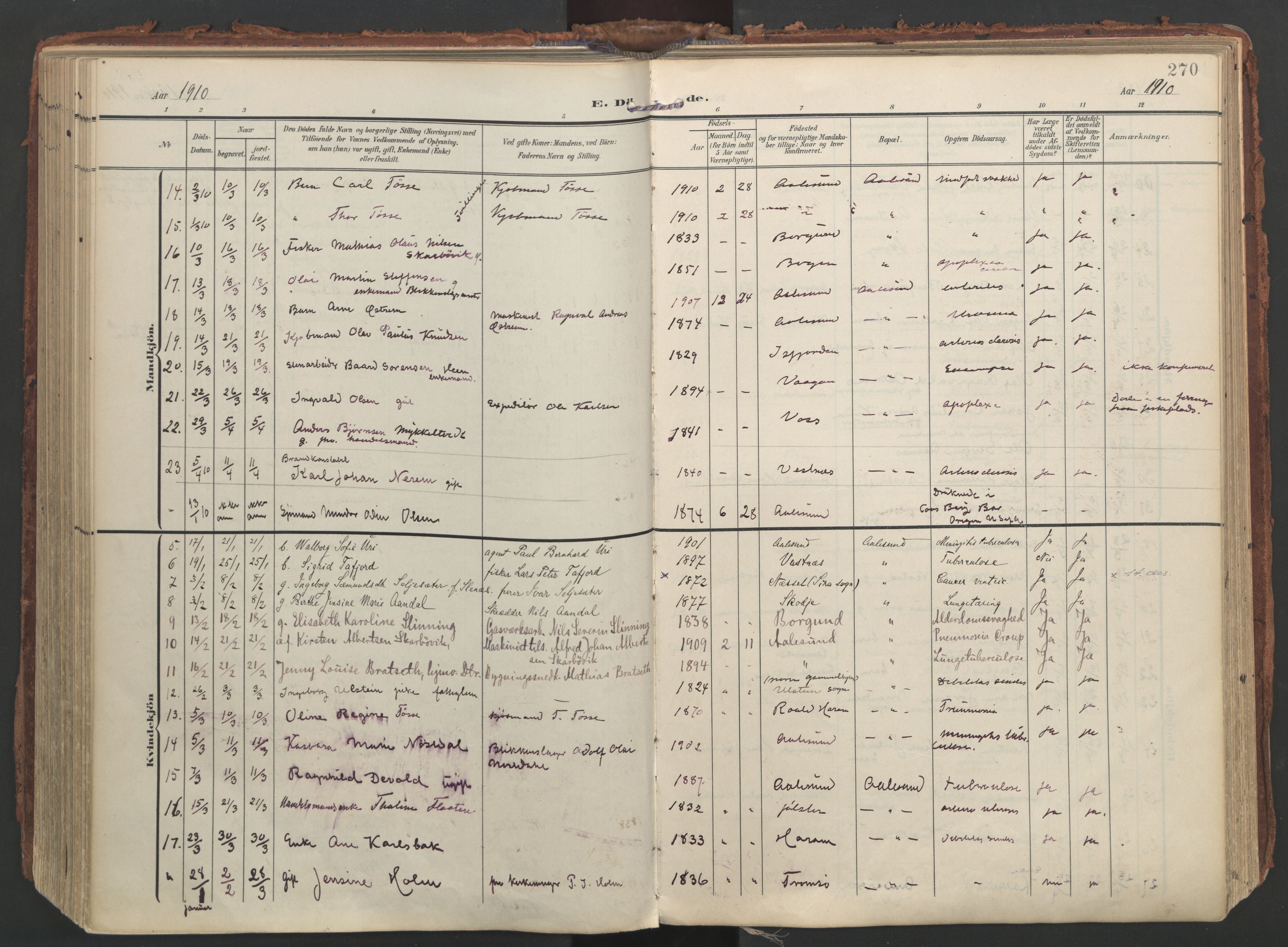 Ministerialprotokoller, klokkerbøker og fødselsregistre - Møre og Romsdal, AV/SAT-A-1454/529/L0459: Parish register (official) no. 529A09, 1904-1917, p. 270