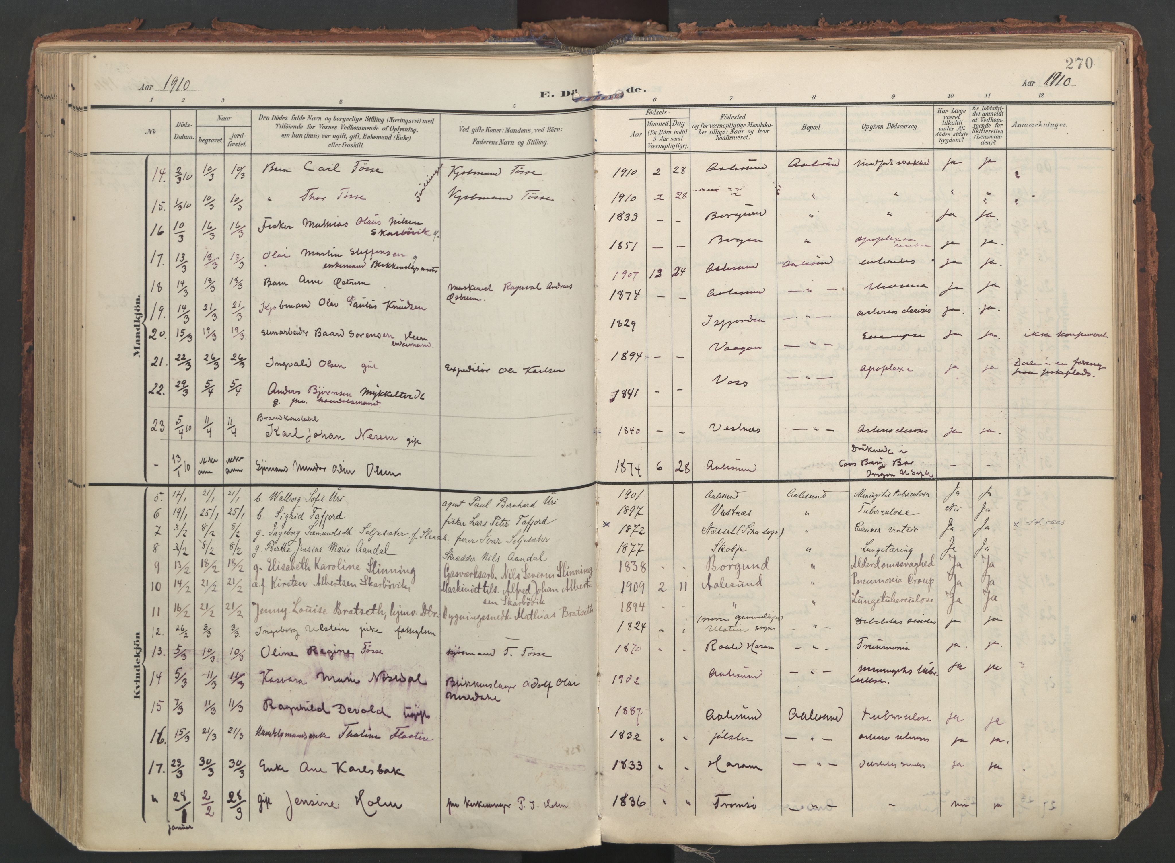 Ministerialprotokoller, klokkerbøker og fødselsregistre - Møre og Romsdal, SAT/A-1454/529/L0459: Parish register (official) no. 529A09, 1904-1917, p. 270