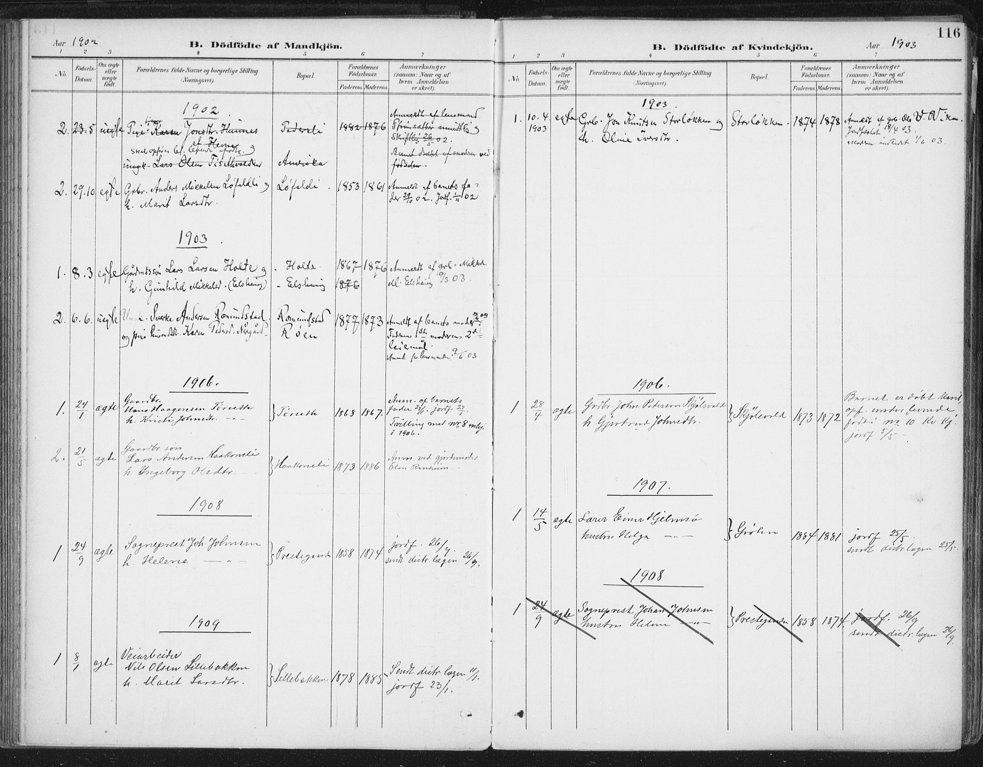 Ministerialprotokoller, klokkerbøker og fødselsregistre - Møre og Romsdal, SAT/A-1454/598/L1072: Parish register (official) no. 598A06, 1896-1910, p. 116