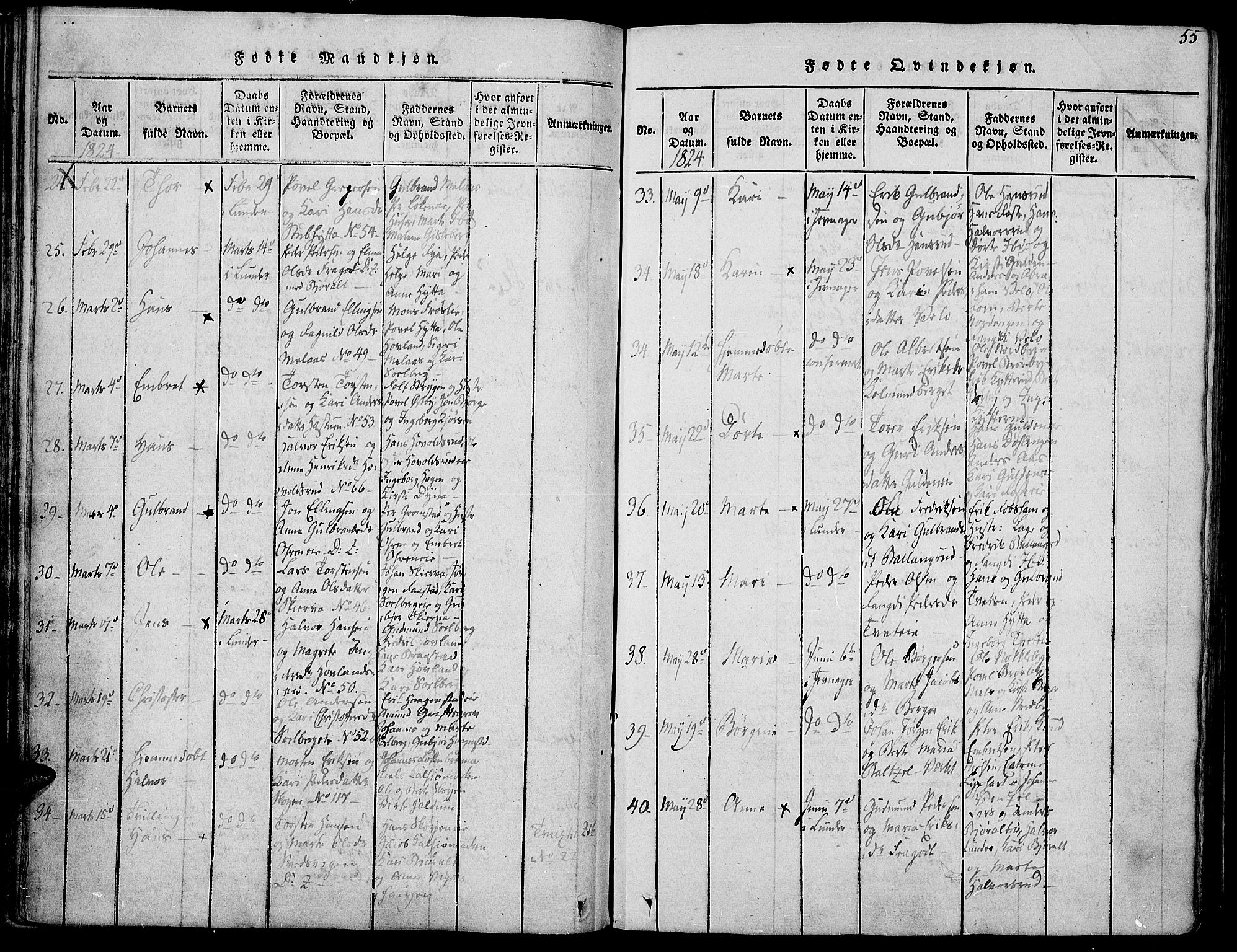 Jevnaker prestekontor, AV/SAH-PREST-116/H/Ha/Haa/L0005: Parish register (official) no. 5, 1815-1837, p. 55